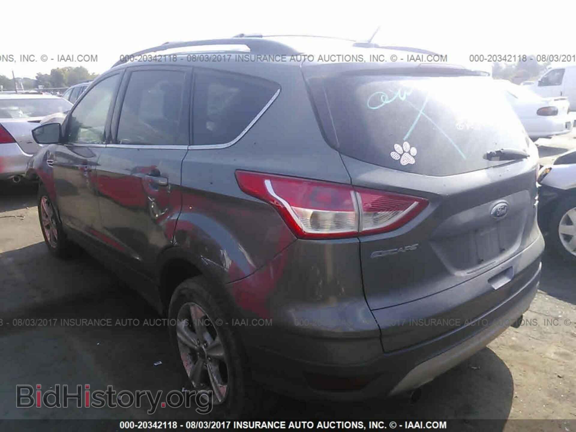 2013 Ford Escape - VIN: 1FMCU9G95DUA22029 - Фото 3