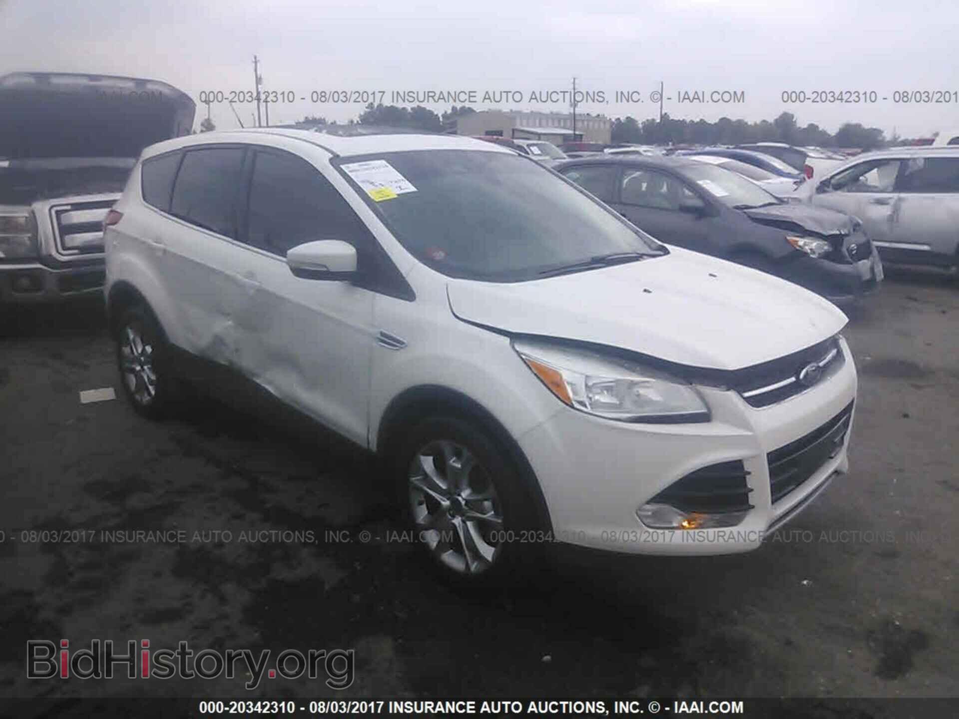 Фотография 1FMCU0HX9DUB86005 - Ford Escape 2013