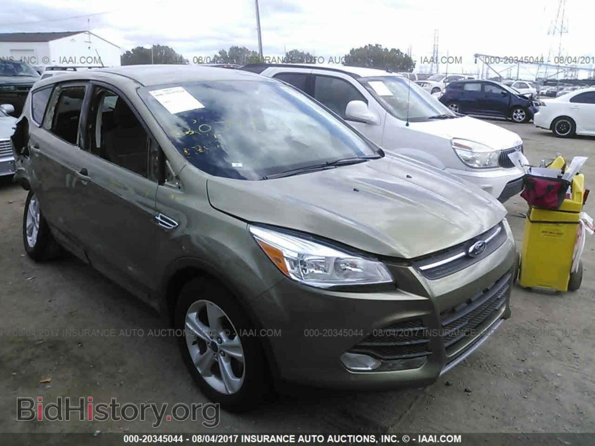 Photo 1FMCU0GX0DUA20411 - Ford Escape 2013