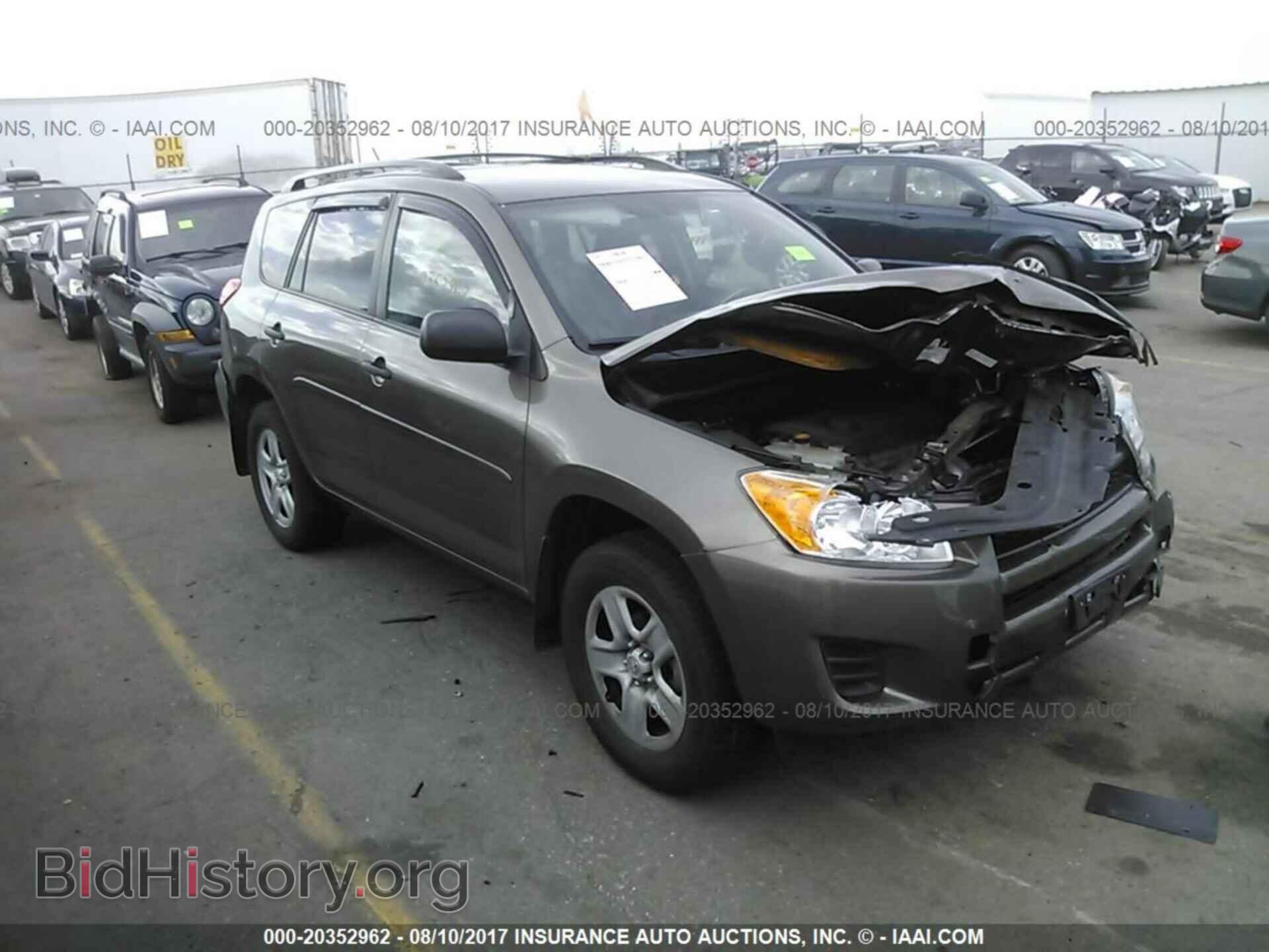 Фотография 2T3BF4DV2CW189237 - Toyota Rav4 2012
