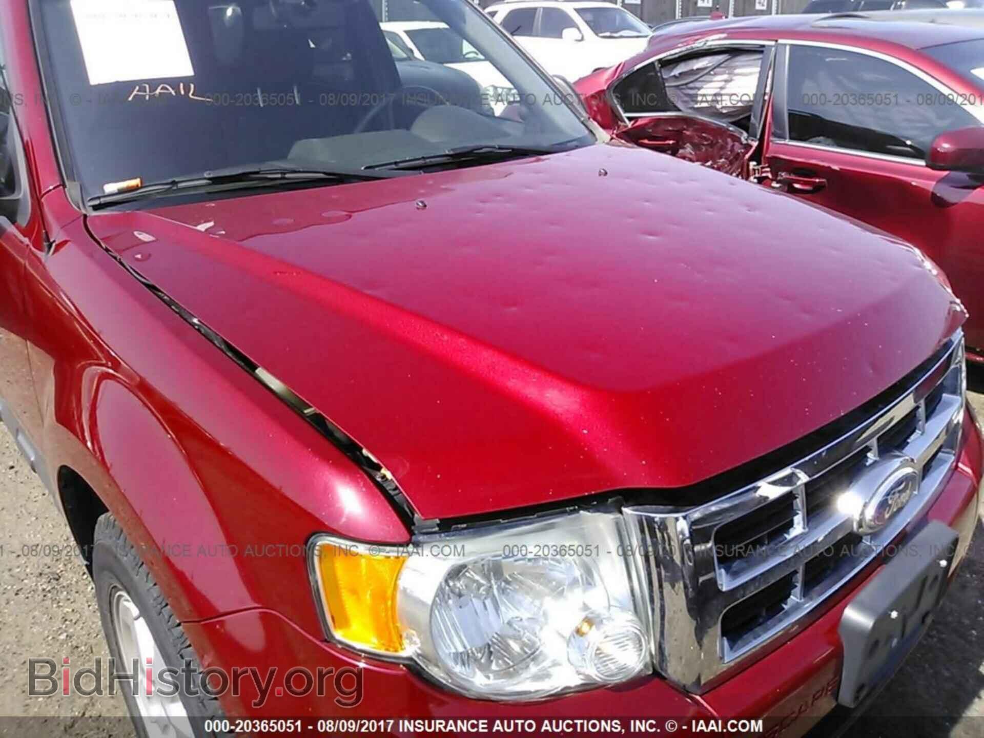 2011 Ford Escape - VIN: 1FMCU9DG6BKA69324 - Фото 6