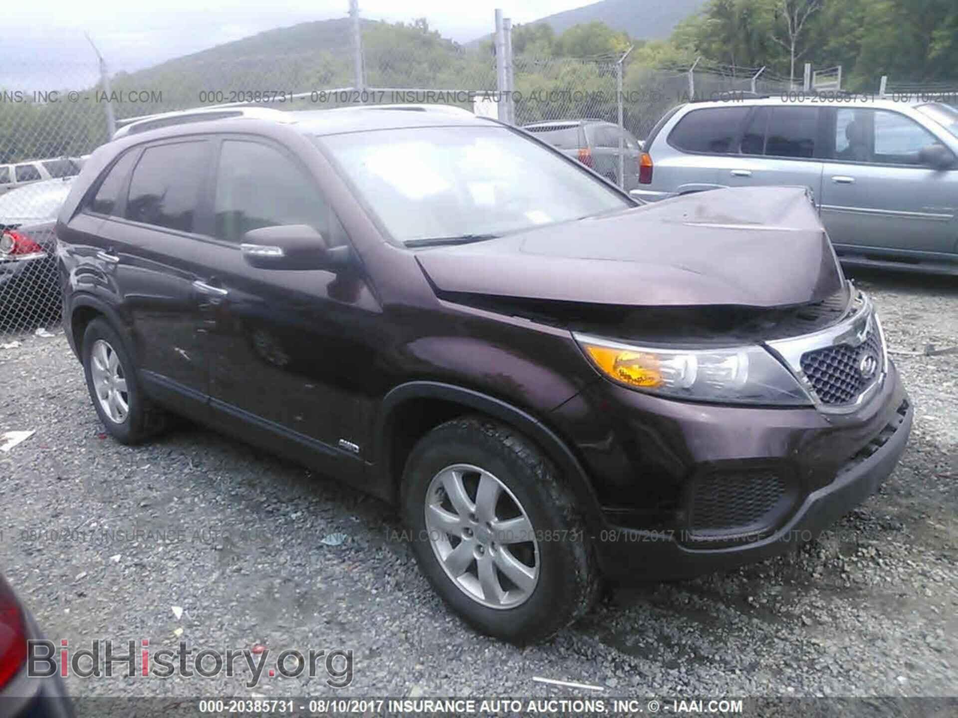 Фотография 5XYKTDA29CG281429 - Kia Sorento 2012