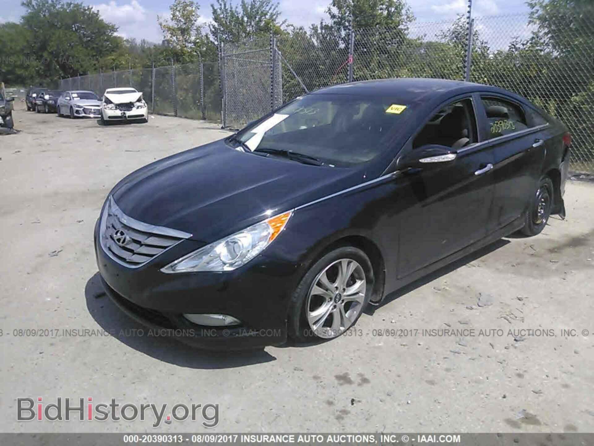 2012 Hyundai Sonata - VIN: 5NPEC4AC4CH446396 - Фото 2