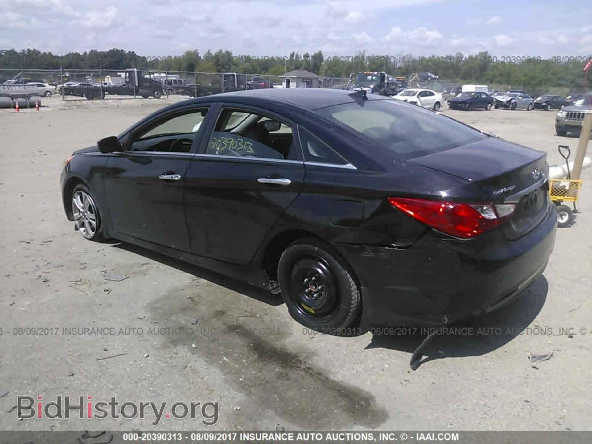 2012 Hyundai Sonata - VIN: 5NPEC4AC4CH446396 - Фото 3