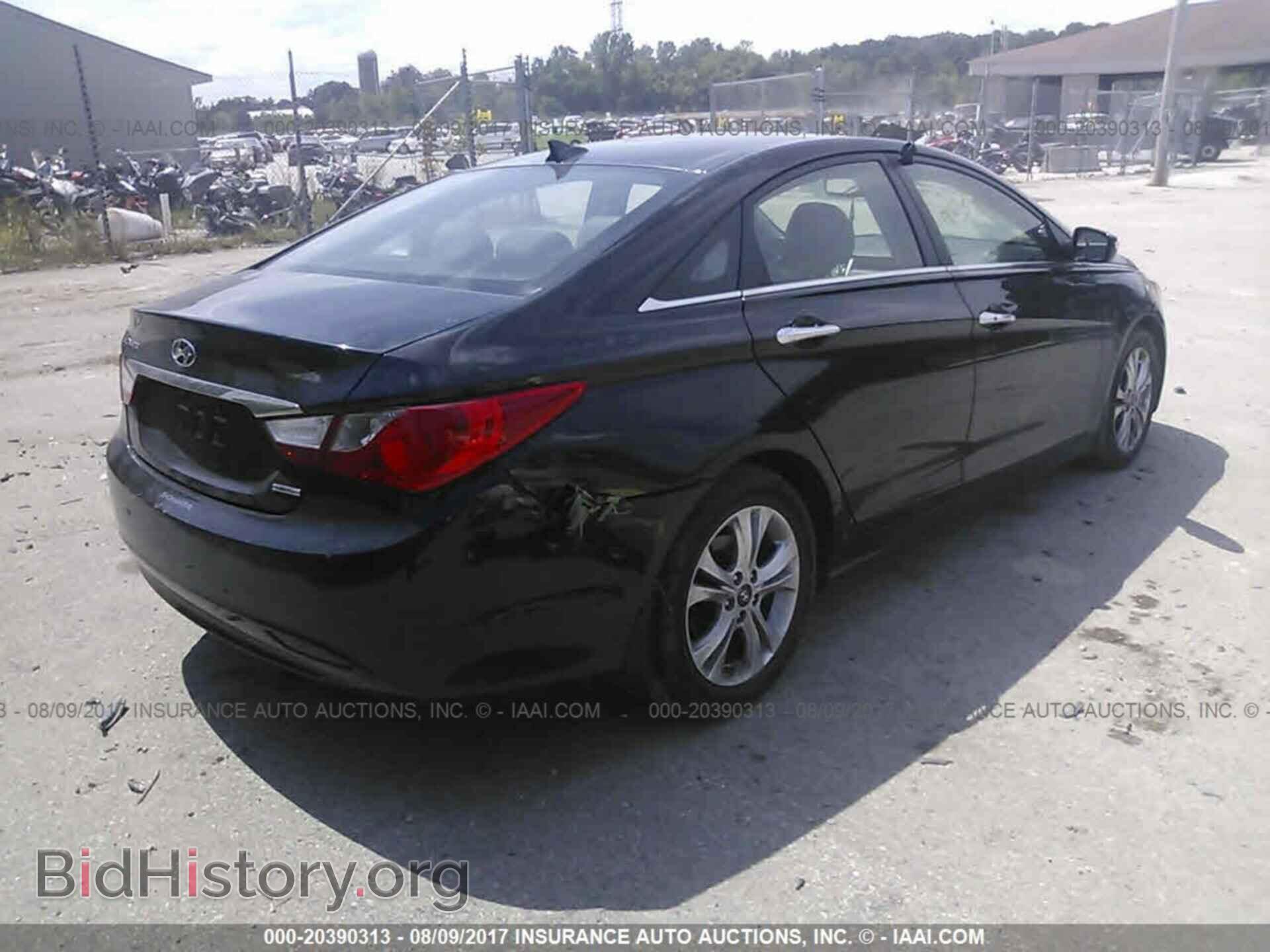 2012 Hyundai Sonata - VIN: 5NPEC4AC4CH446396 - Фото 4
