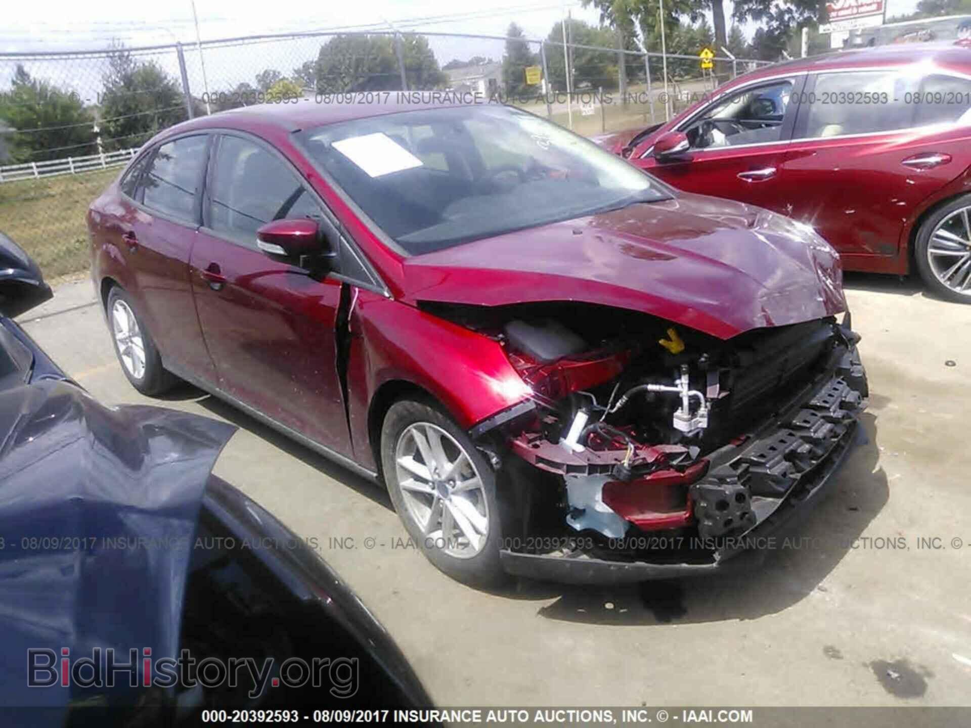 Фотография 1FADP3F21GL403944 - Ford Focus 2016