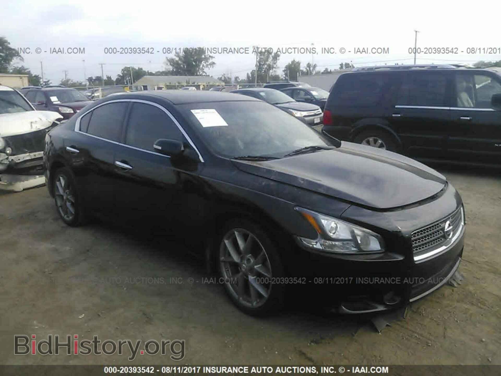 Фотография 1N4AA5AP1BC867568 - Nissan Maxima 2011