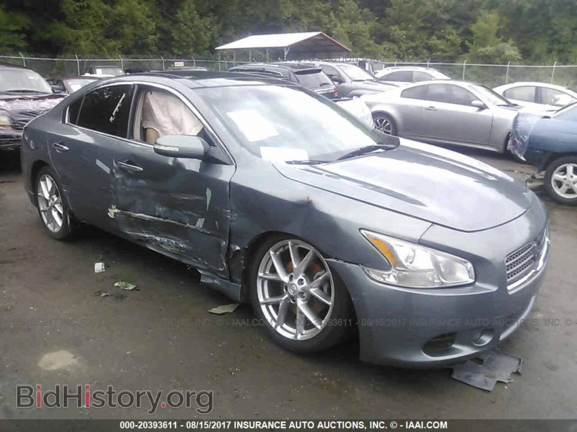Фотография 1N4AA5AP8BC861363 - Nissan Maxima 2011