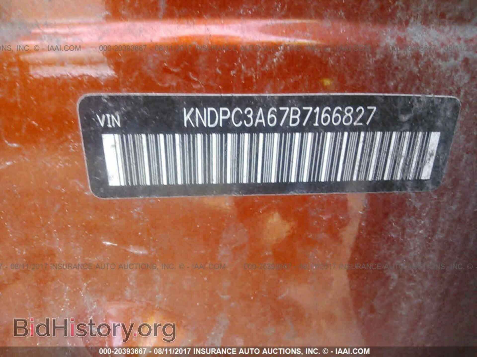 2011 Kia Sportage - VIN: KNDPC3A67B7166827 - Фото 9