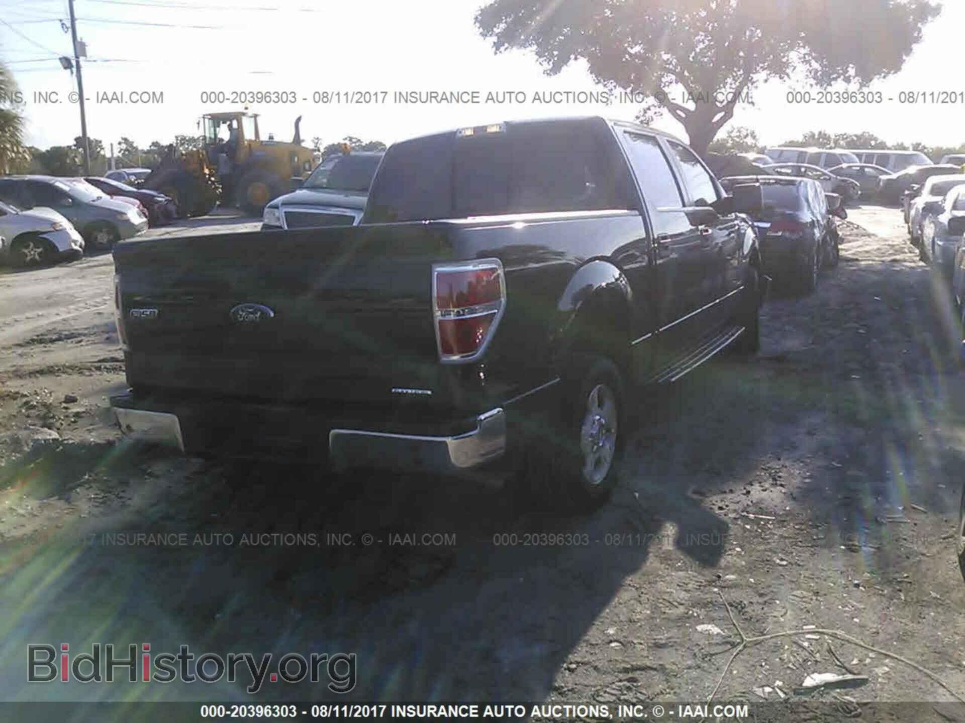 2013 Ford F150 - VIN: 1FTEW1CM1DFA20334 - Фото 4