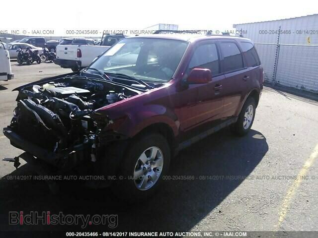 2011 Ford Escape - VIN: 1FMCU9EG0BKA21896 - Фото 2
