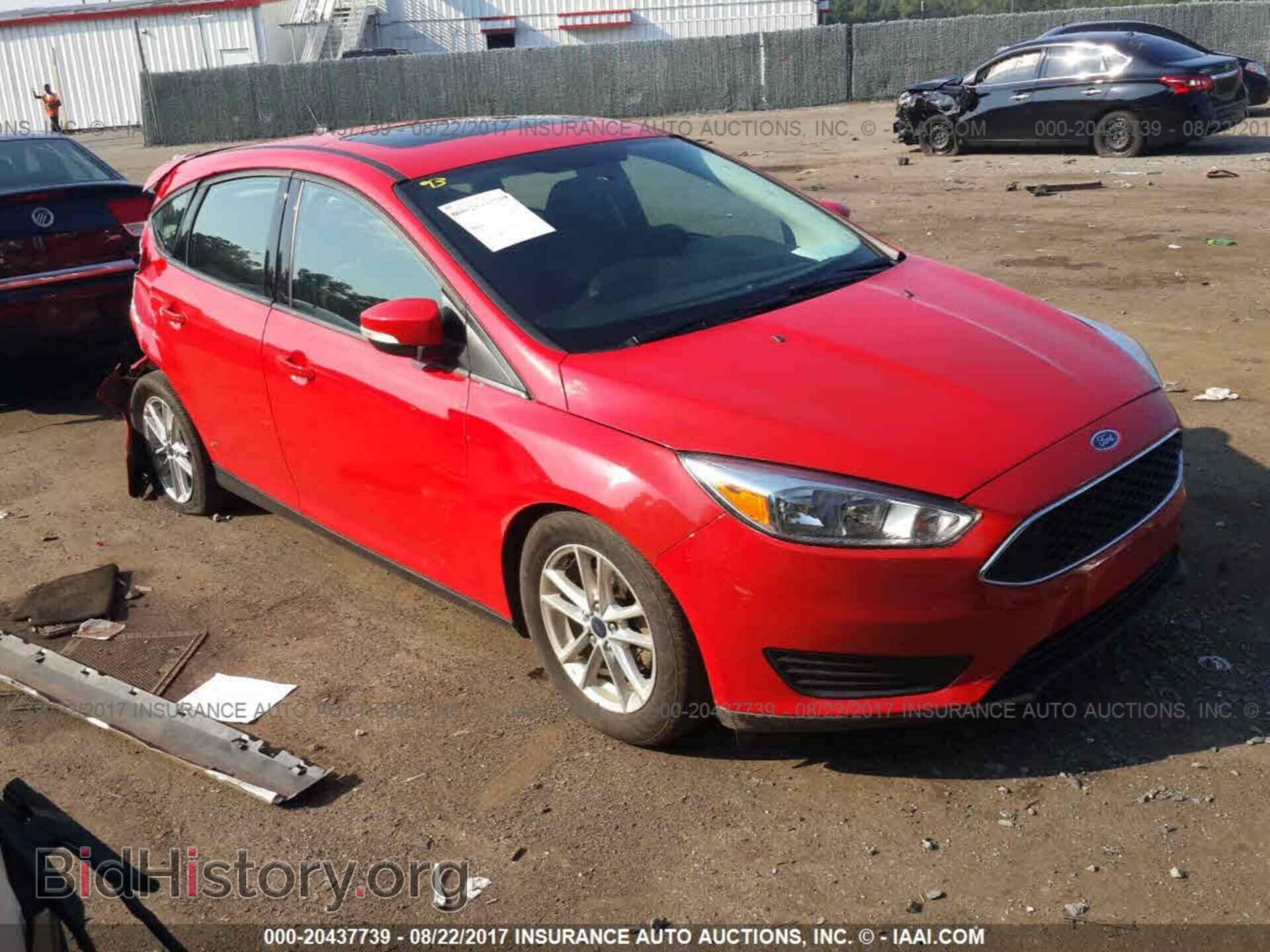 Photo 1FADP3K21GL290079 - Ford Focus 2016