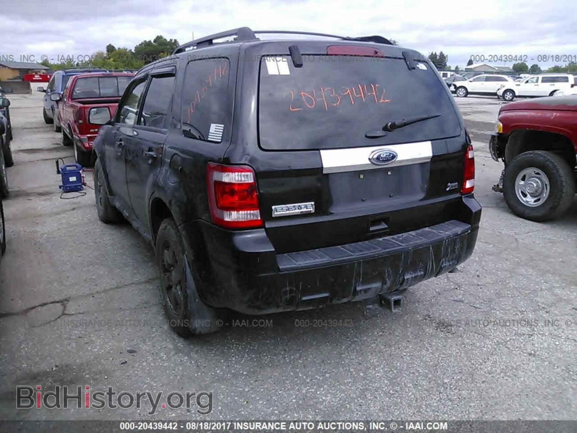 2011 Ford Escape - VIN: 1FMCU9EG3BKC29223 - Фото 3