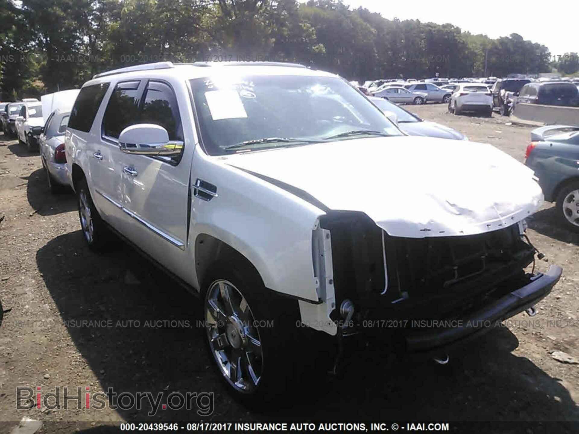 Фотография 1GYS4JEF3BR164495 - Cadillac Escalade 2011