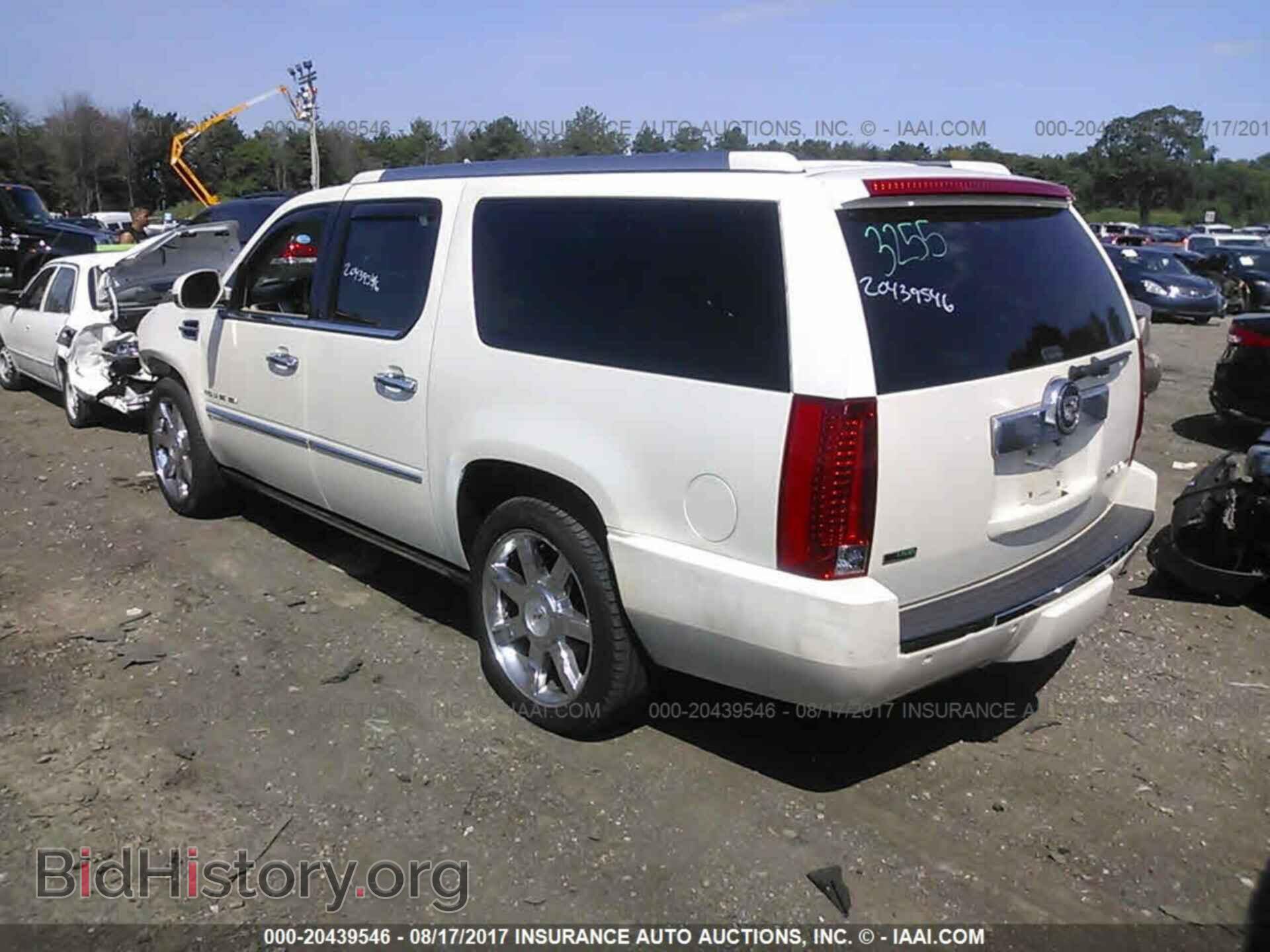 2011 Cadillac Escalade - VIN: 1GYS4JEF3BR164495 - Фото 3