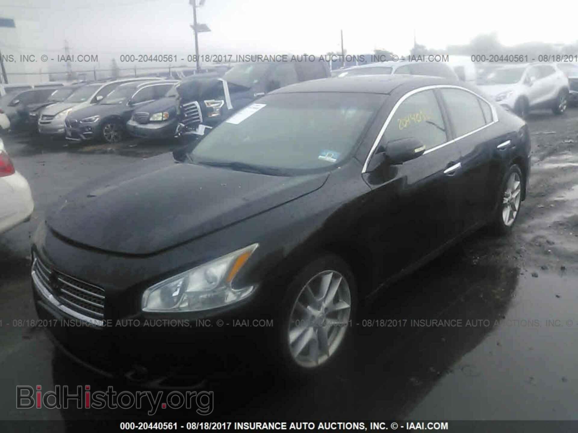 2011 Nissan Maxima - VIN: 1N4AA5AP4BC809096 - Фото 2