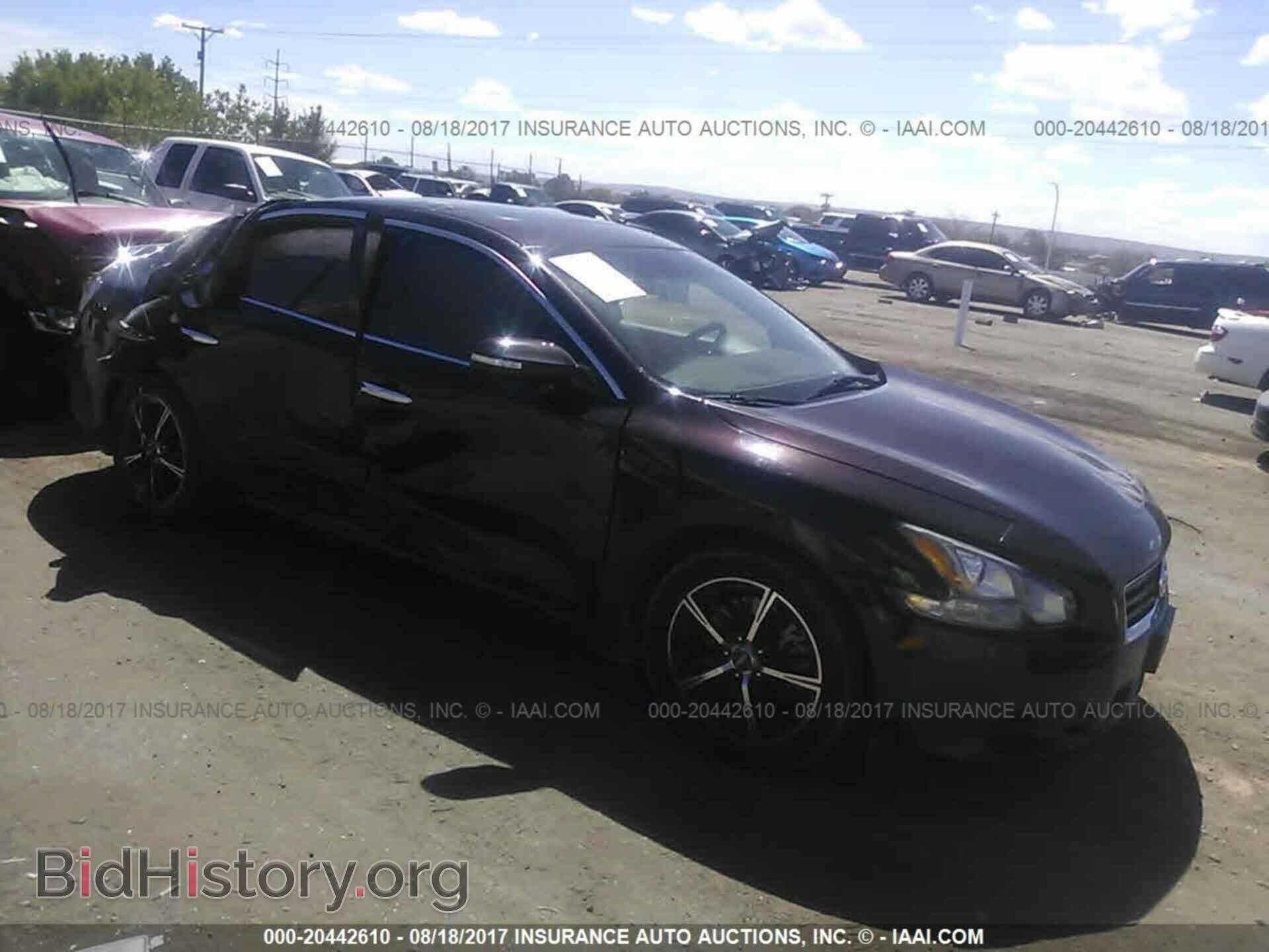 Photo 1N4AA5AP3DC812705 - Nissan Maxima 2013