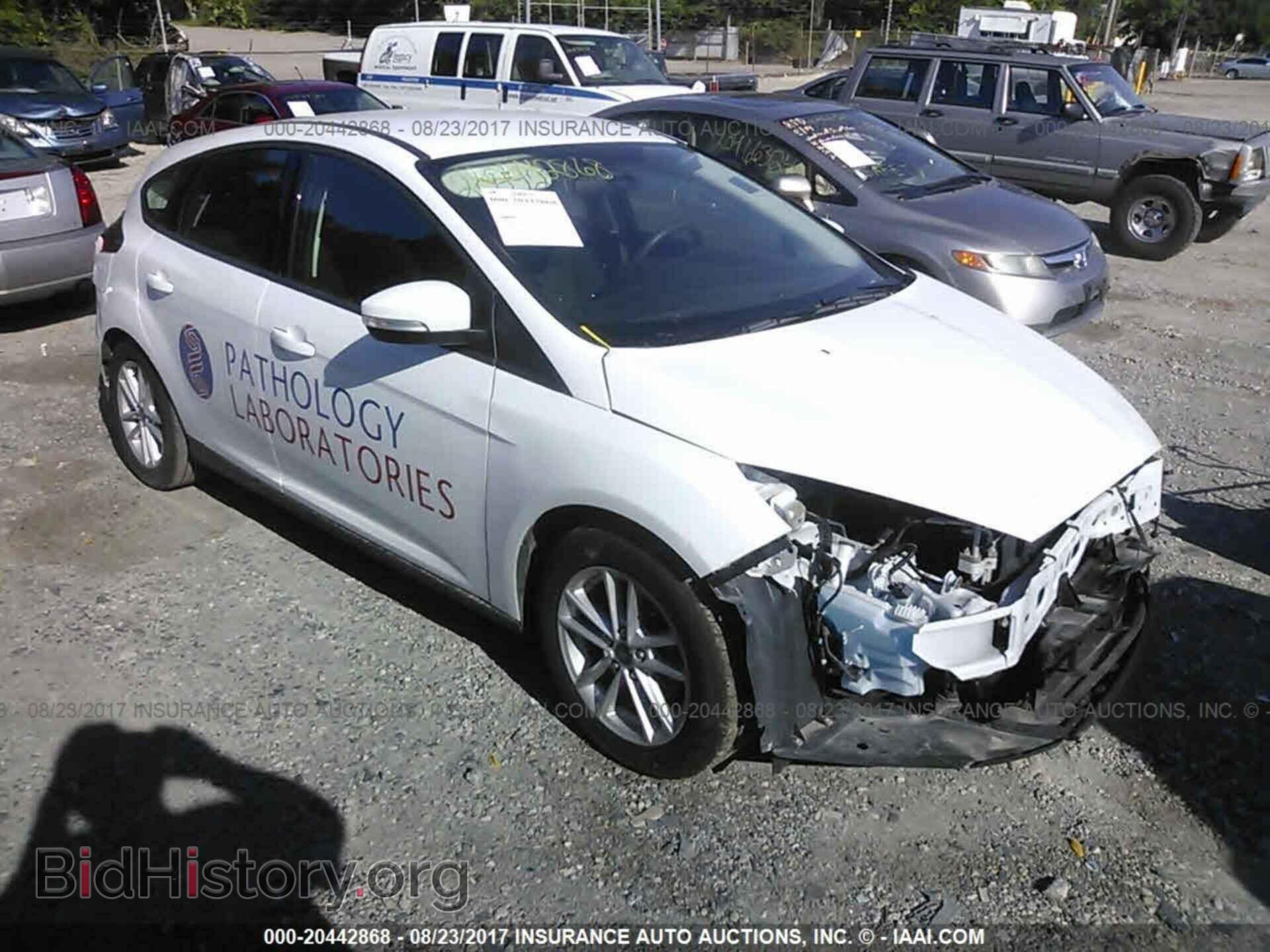 Photo 1FADP3K27GL404375 - Ford Focus 2016
