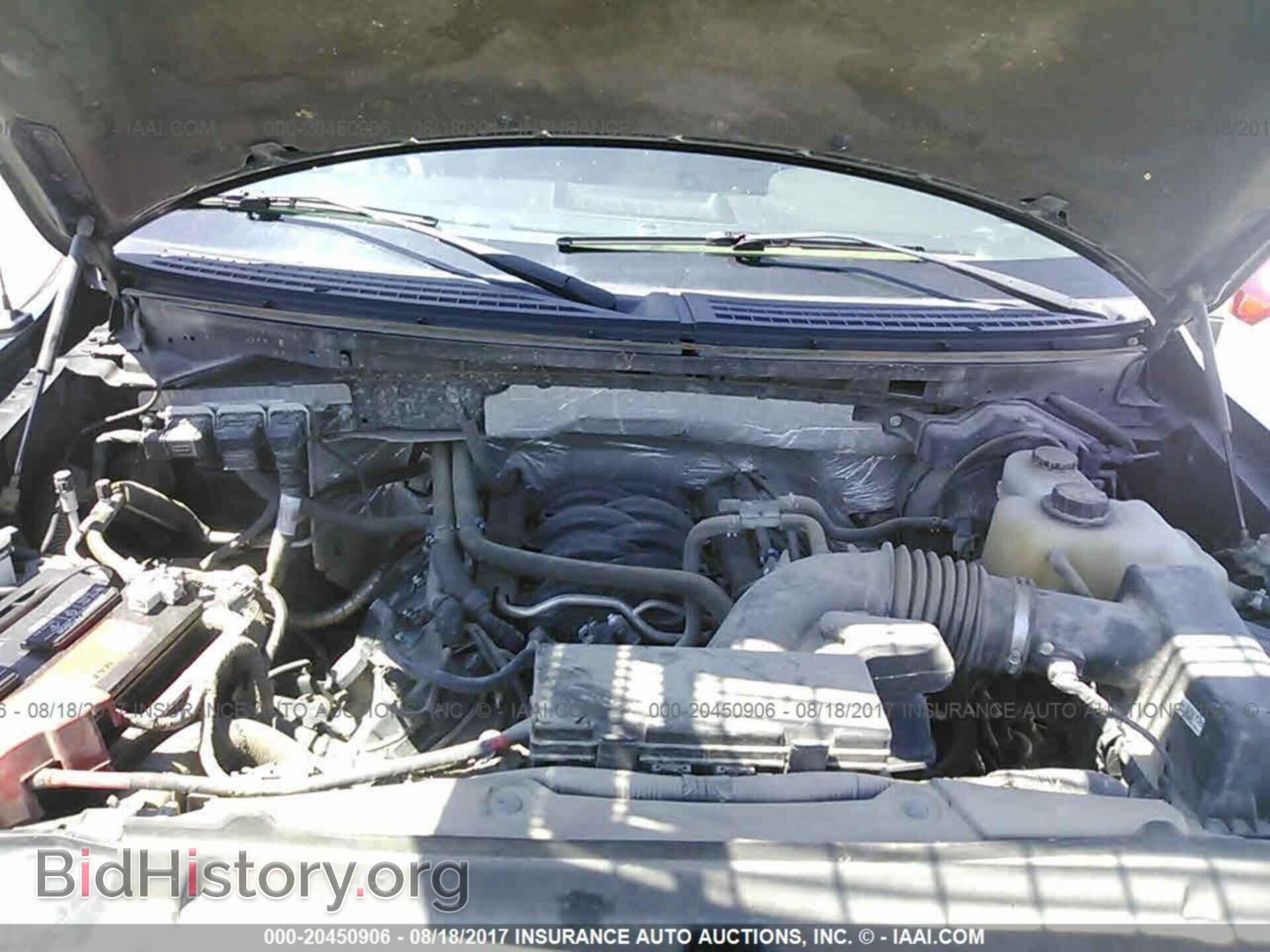 2013 Ford F150 - VIN: 1FTMF1EF5DFA91210 - Фото 10