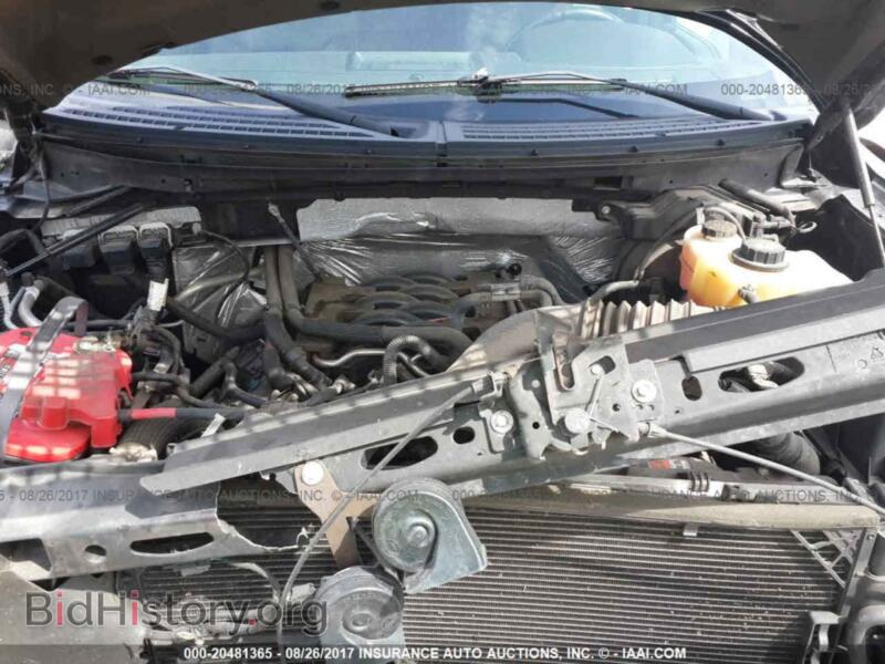2011 Ford F150 (VIN 1FTFX1EF4BFA46990) — фото 10 из 10