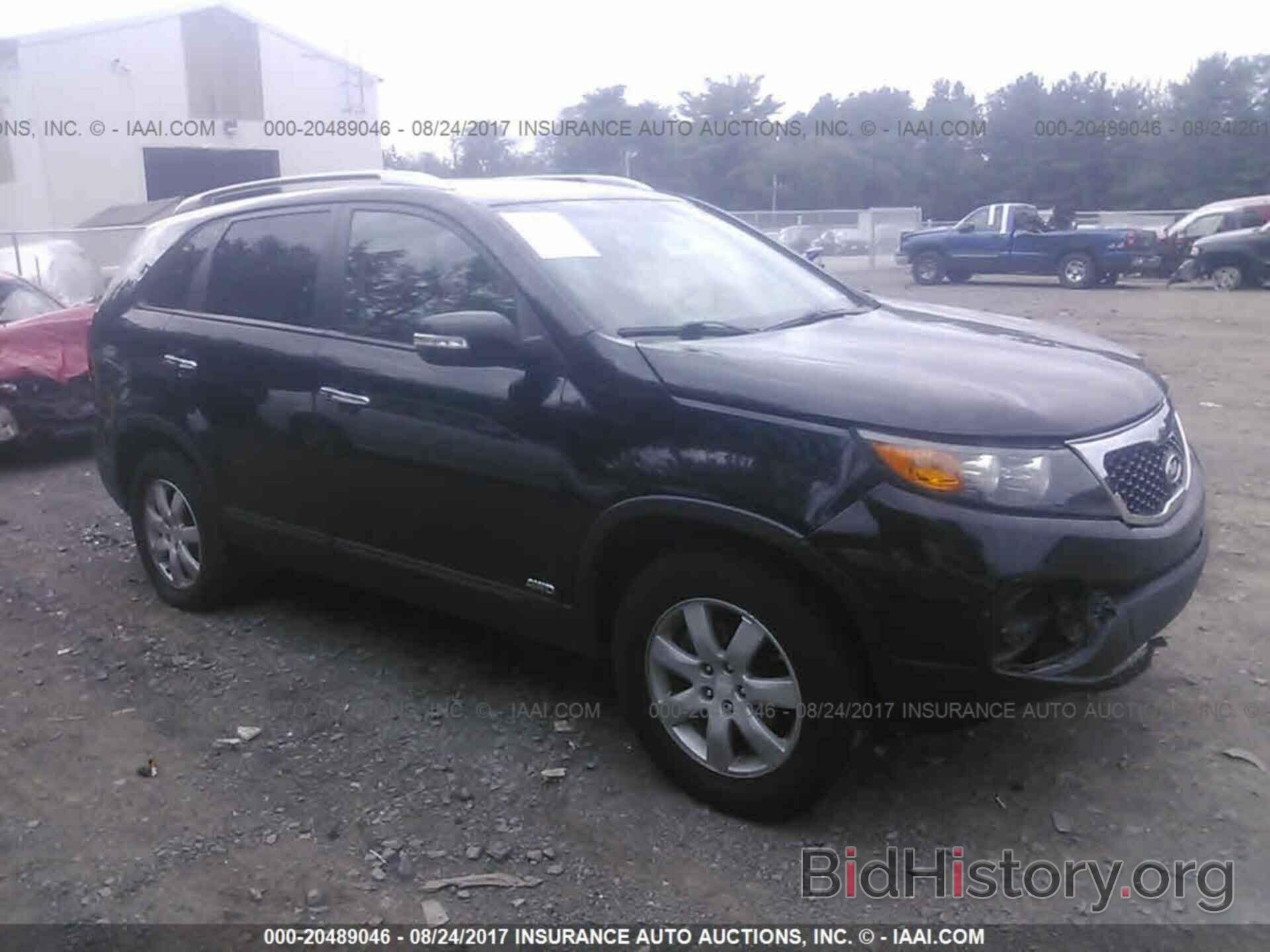 Фотография 5XYKTDA14BG134151 - Kia Sorento 2011