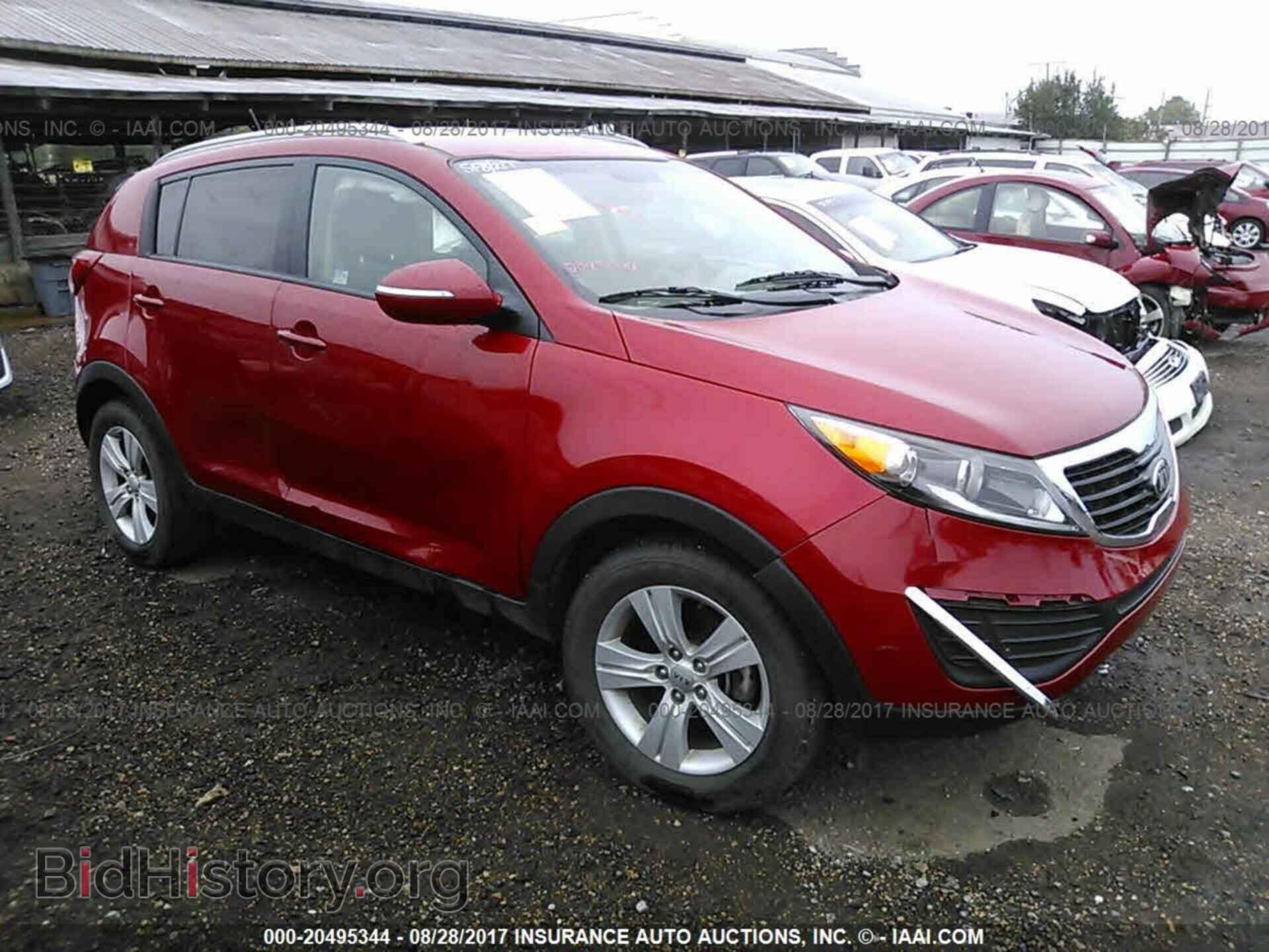 Фотография KNDPB3A21D7528041 - Kia Sportage 2013