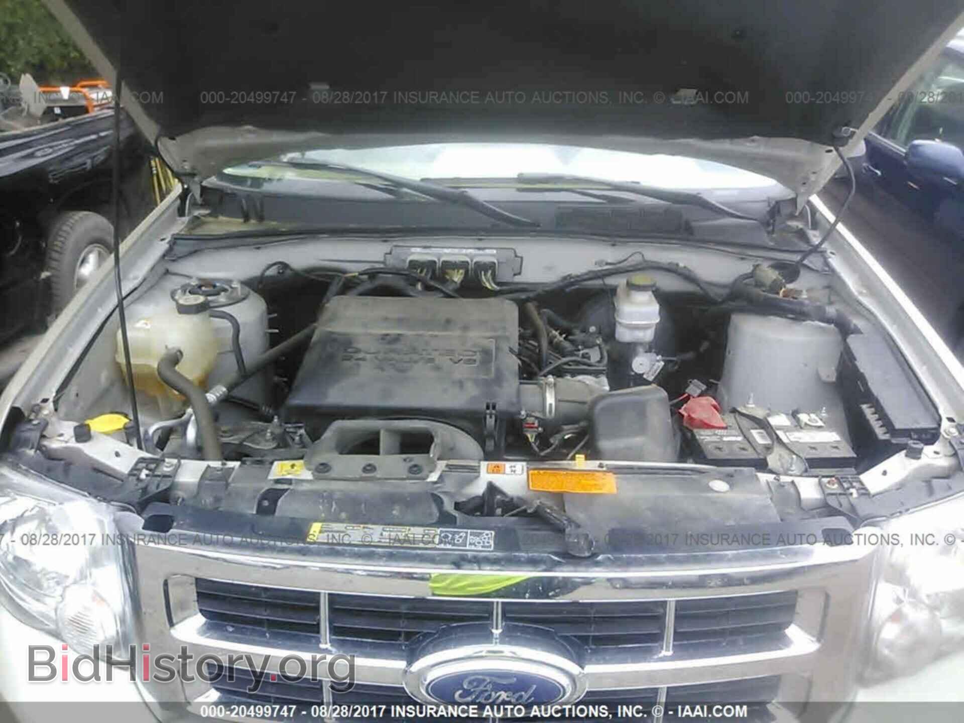 2011 Ford Escape - VIN: 1FMCU9DG6BKA22066 - Photo 10