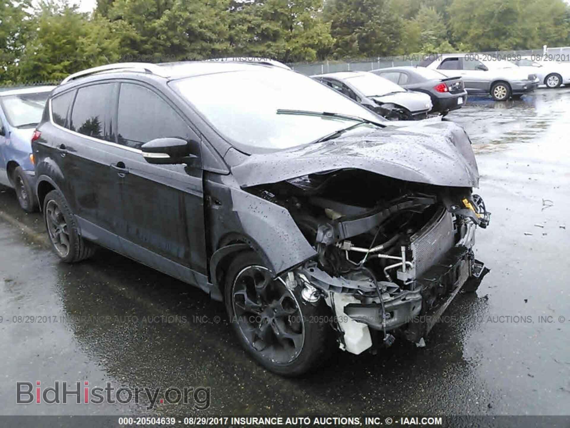 Фотография 1FMCU9J96DUA06558 - Ford Escape 2013