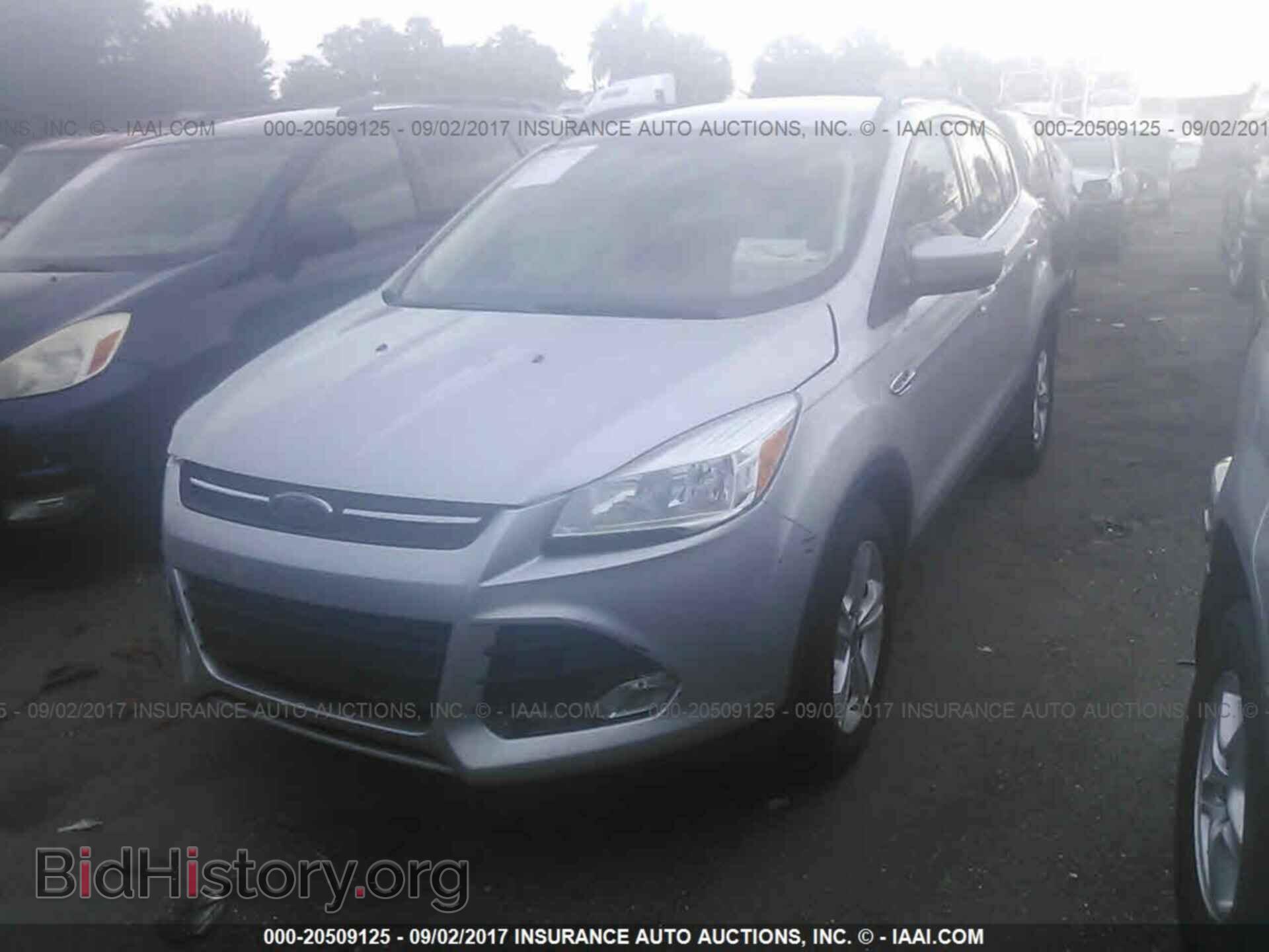 2014 Ford Escape - VIN: 1FMCU0GX0EUD63446 - Photo 2