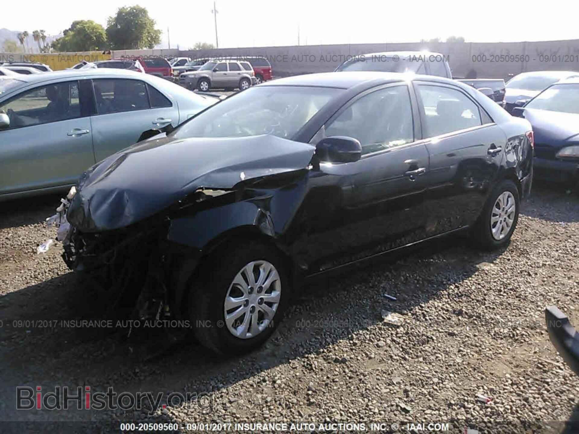 2013 KIA FORTE - VIN: KNAFU4A25D5721684 - Фото 2