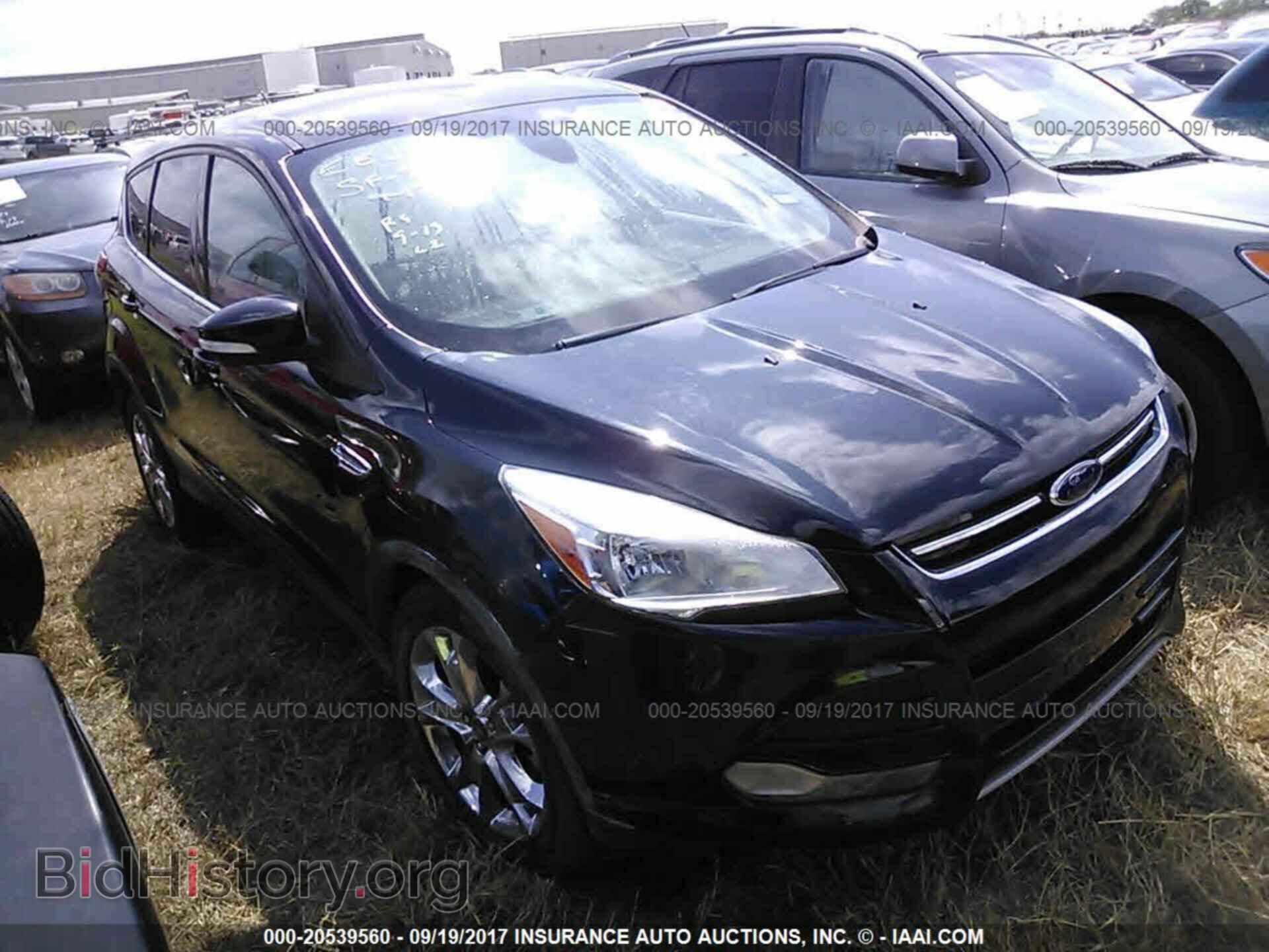 Фотография 1FMCU0HX1DUC85742 - Ford Escape 2013