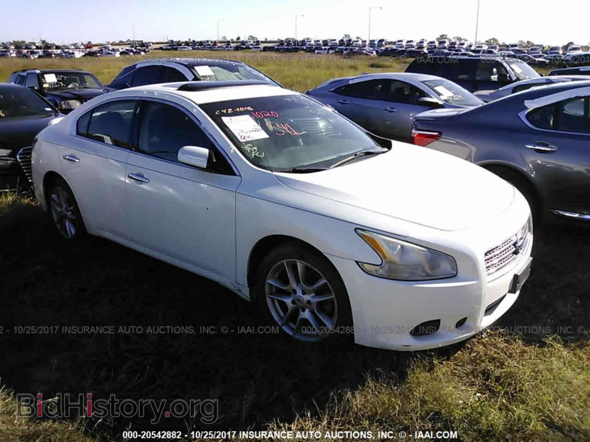 Фотография 1N4AA5AP2BC847281 - Nissan Maxima 2011