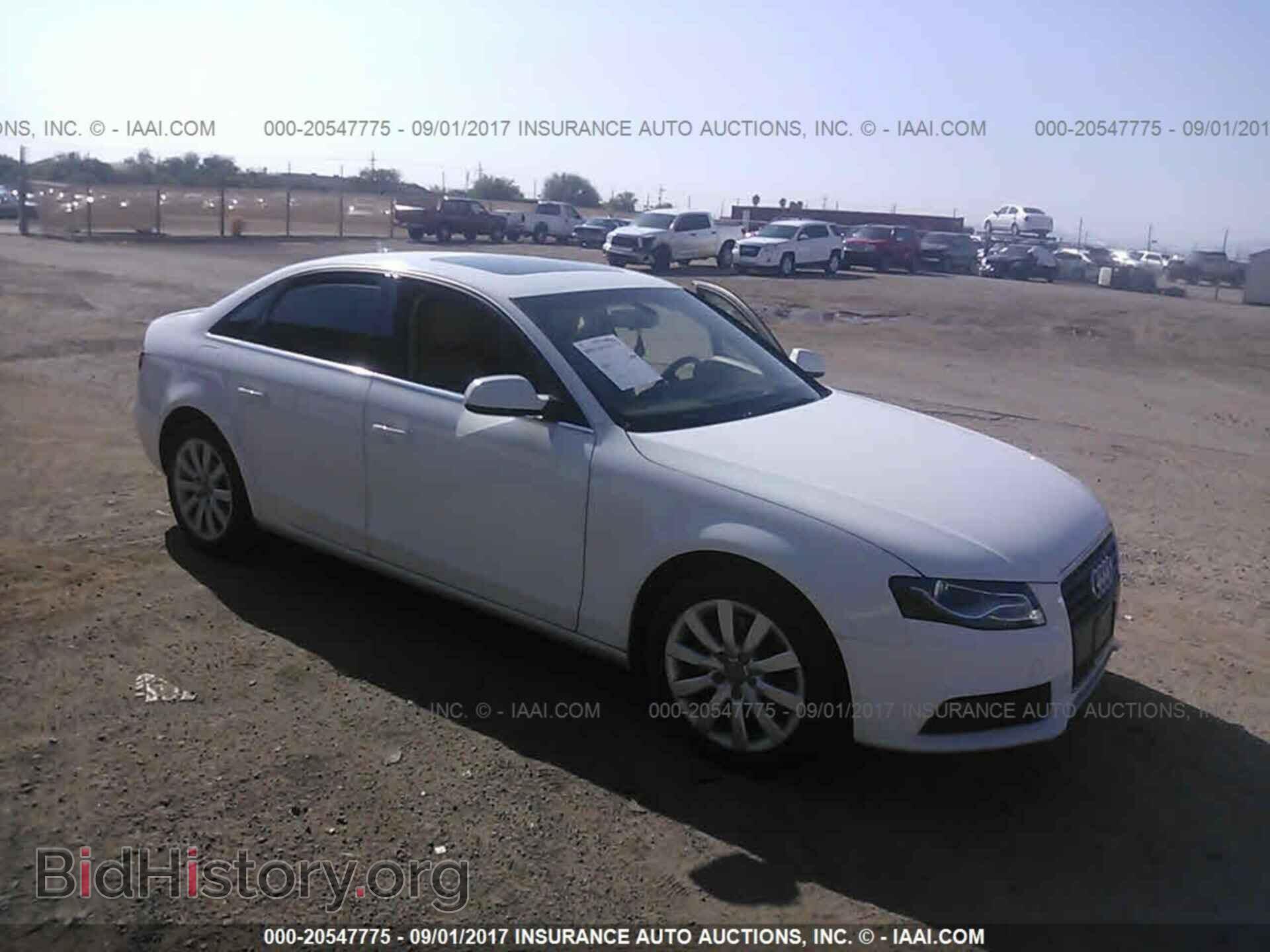 Photo WAUEFBFL2BN008184 - Audi A4 2011