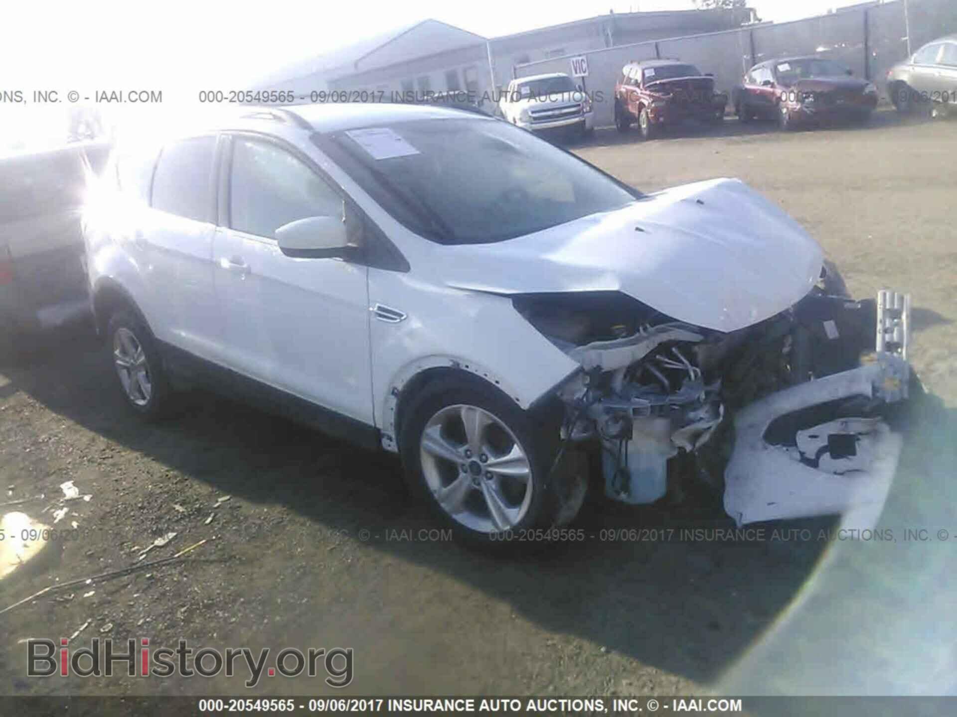 Photo 1FMCU0GX8DUD79473 - Ford Escape 2013