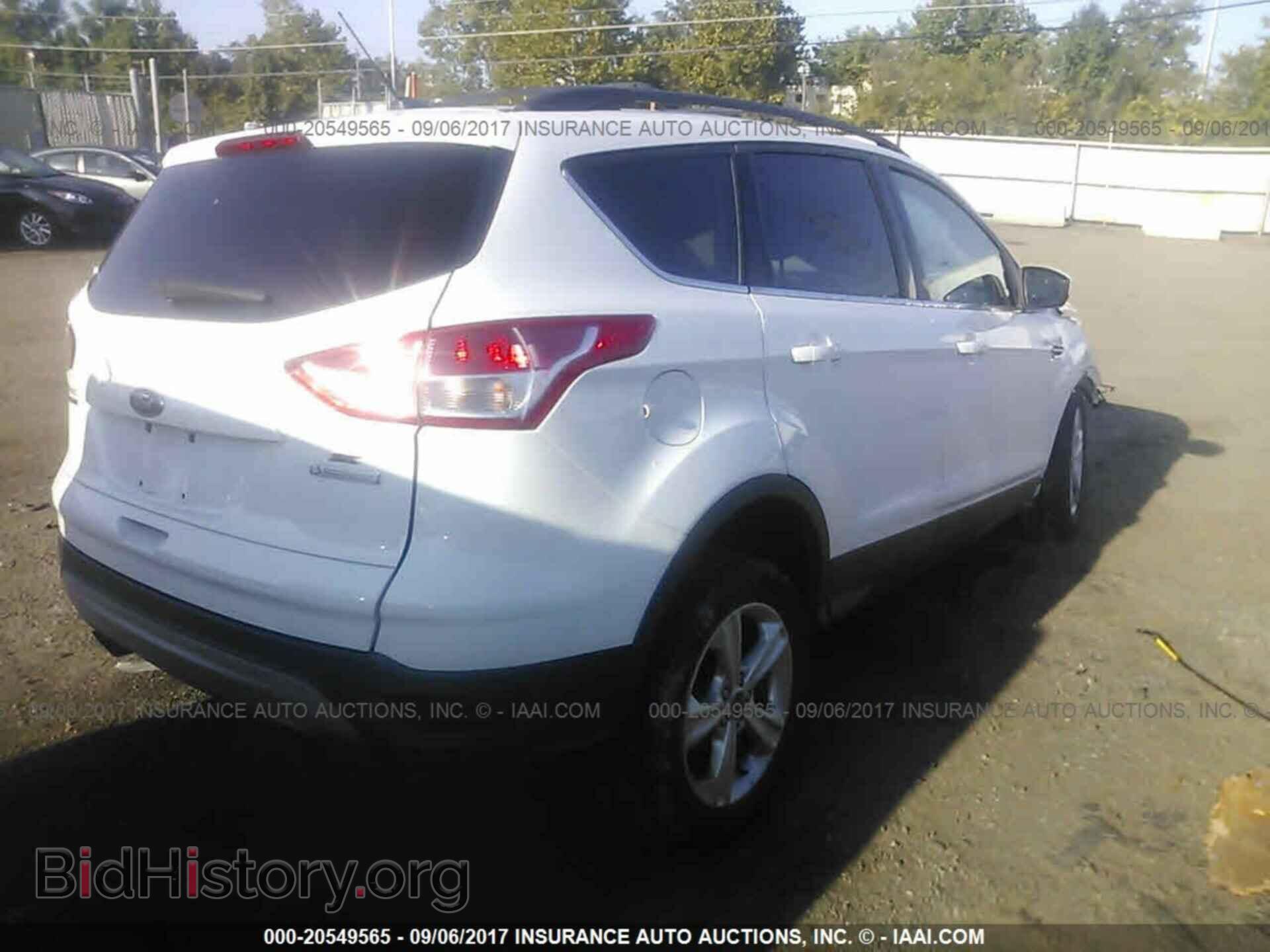 2013 Ford Escape - VIN: 1FMCU0GX8DUD79473 - Фото 4
