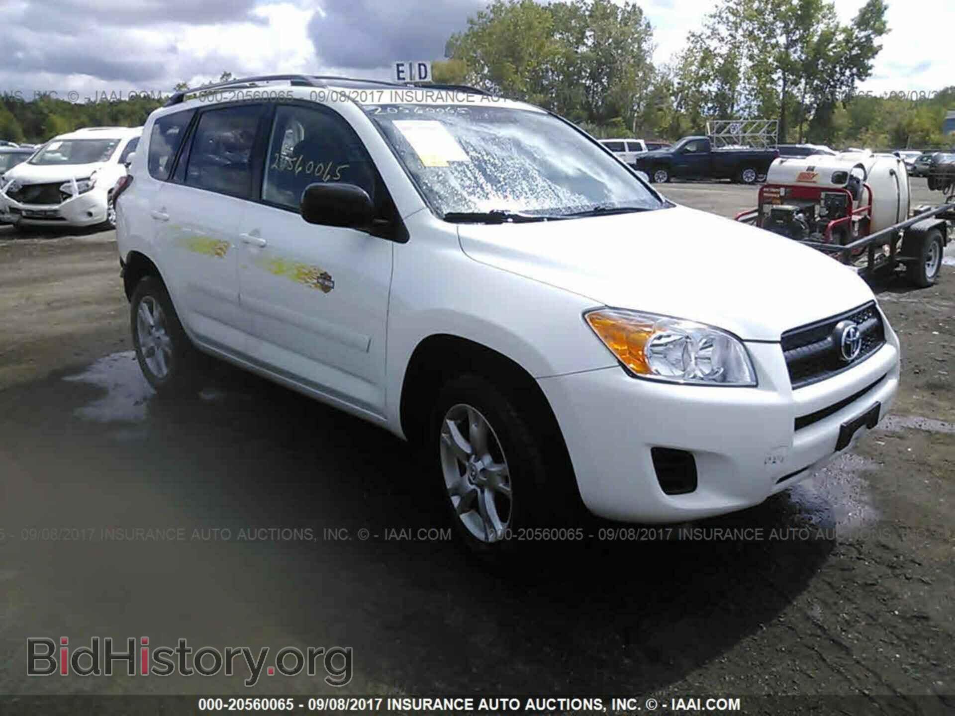 Фотография 2T3BF4DV9BW114341 - Toyota Rav4 2011