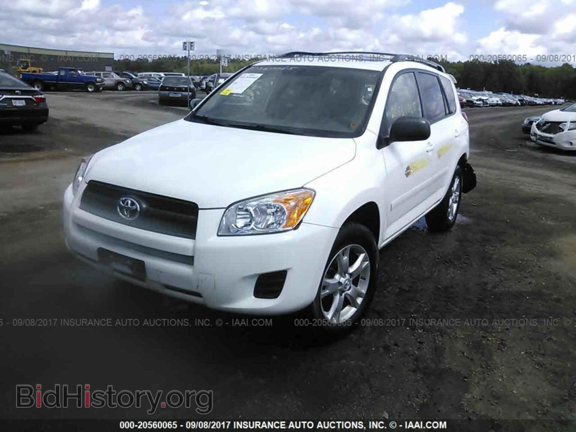 2011 Toyota Rav4 - VIN: 2T3BF4DV9BW114341 - Photo 2