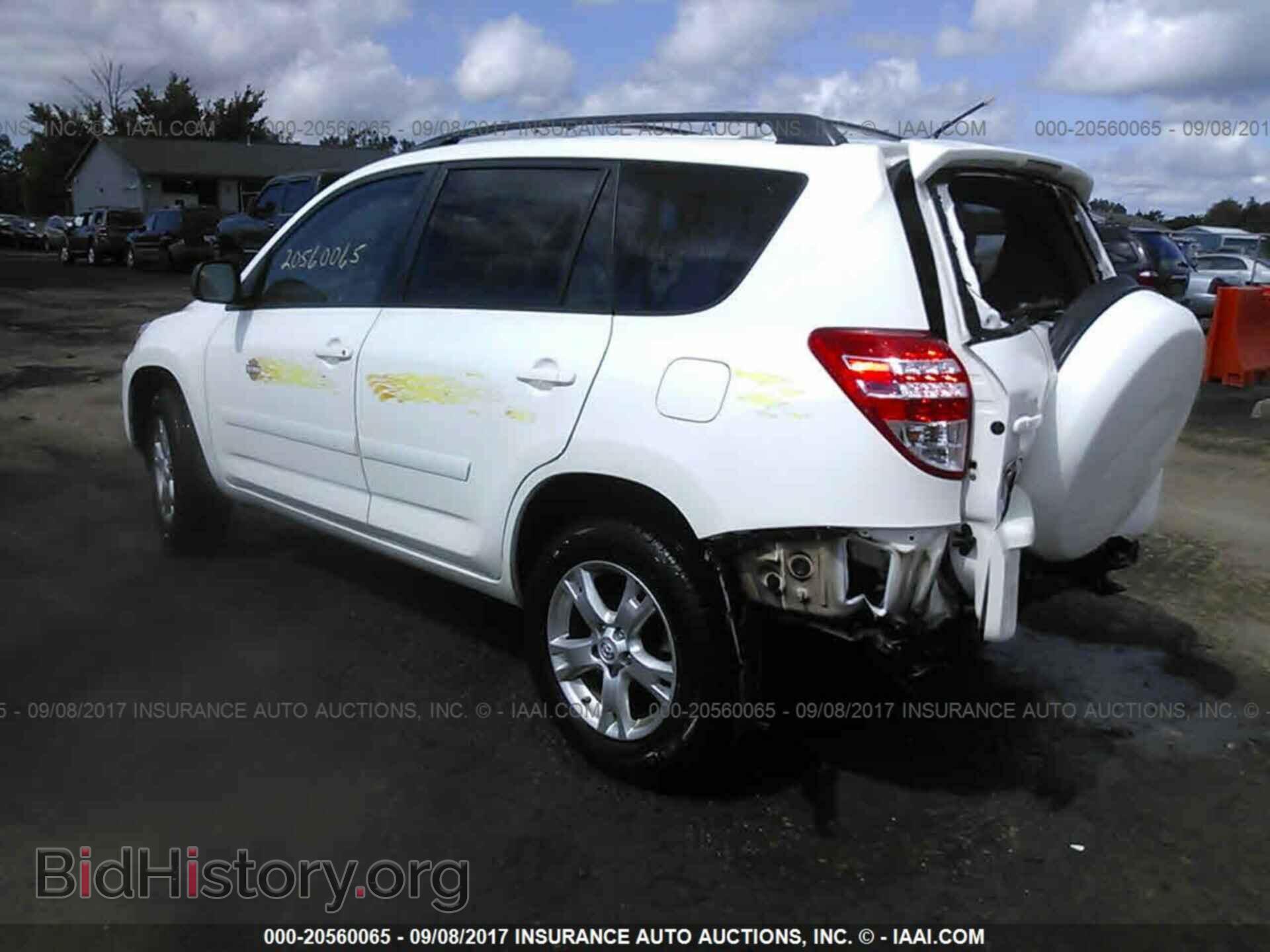 2011 Toyota Rav4 - VIN: 2T3BF4DV9BW114341 - Photo 3