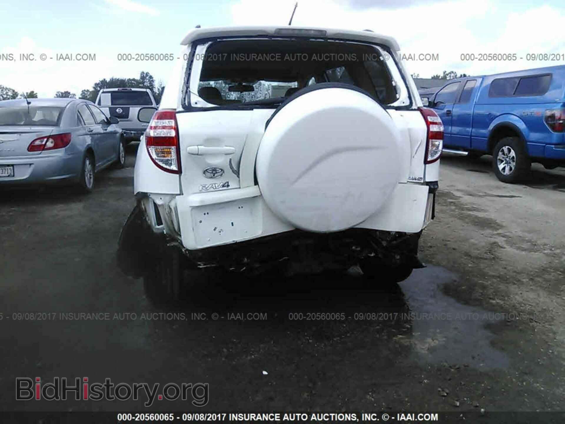 2011 Toyota Rav4 - VIN: 2T3BF4DV9BW114341 - Photo 6