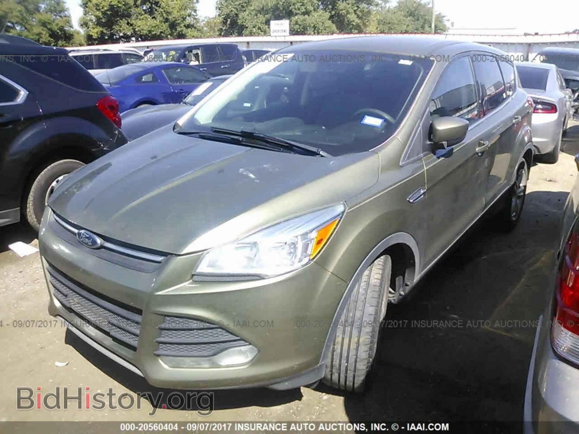 2013 Ford Escape - VIN: 1FMCU9G98DUB84527 - Photo 2