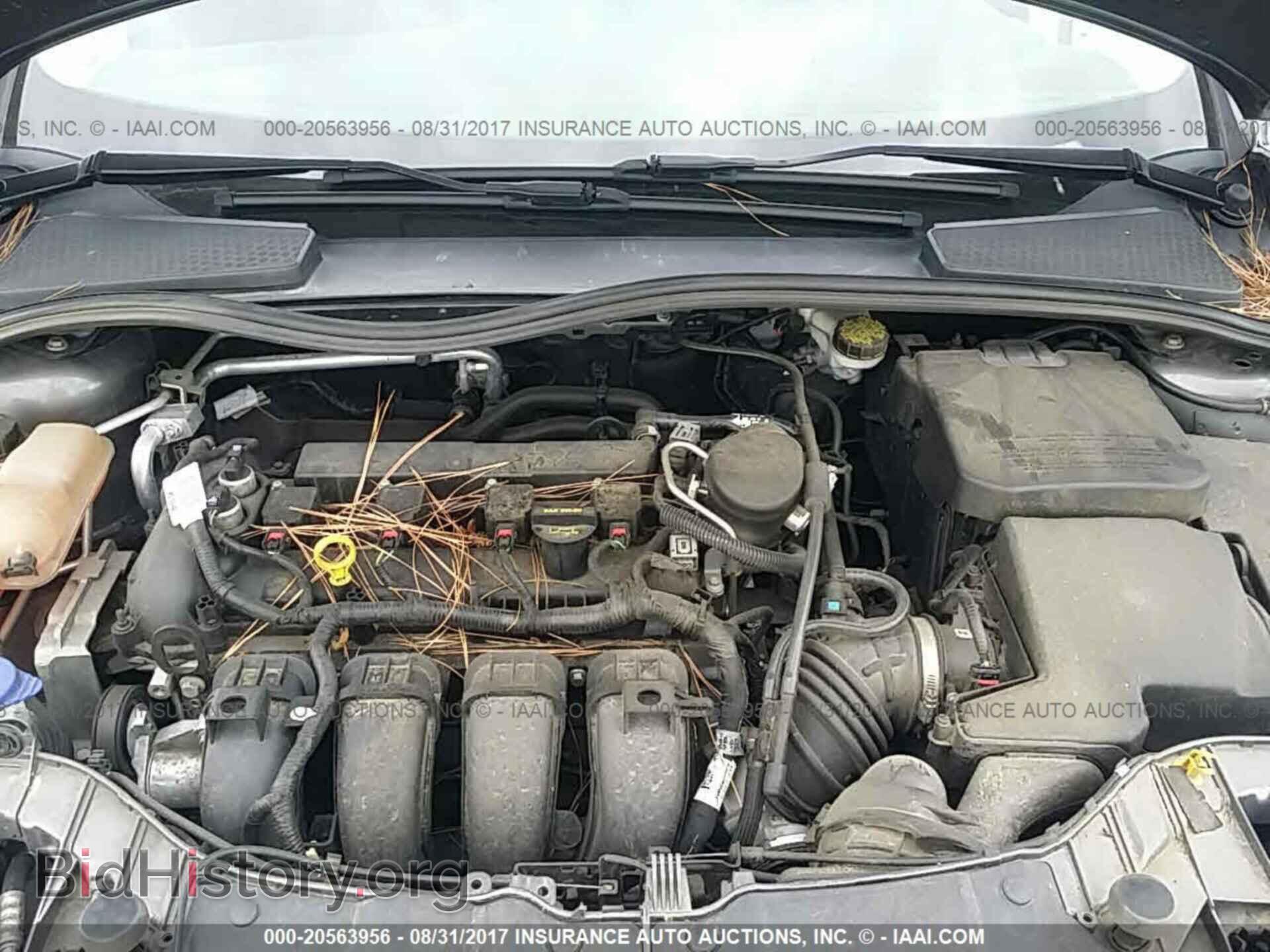 2014 Ford Focus - VIN: 1FADP3F29EL320369 - Фото 10