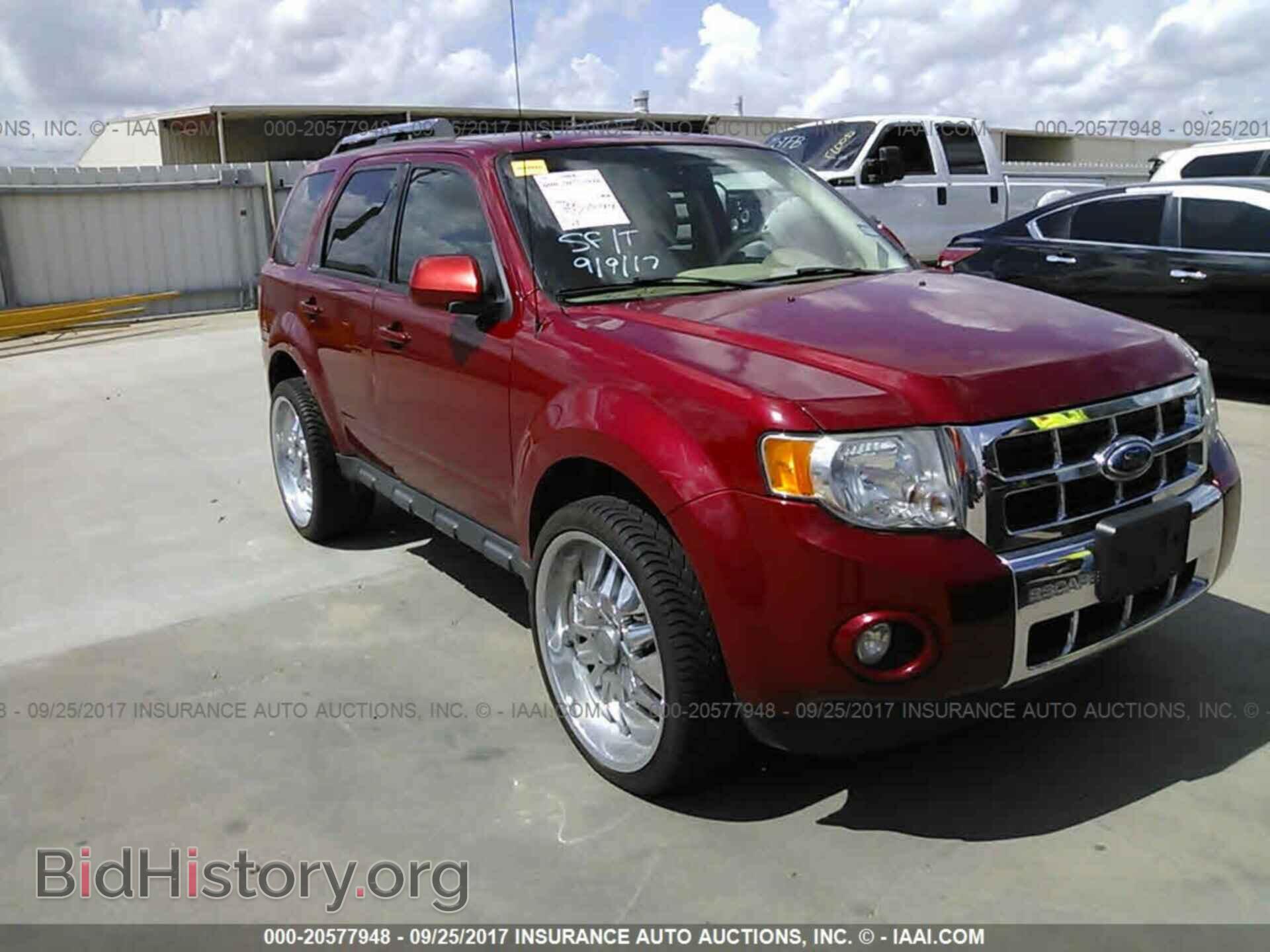 Фотография 1FMCU0E70BKC24976 - Ford Escape 2011