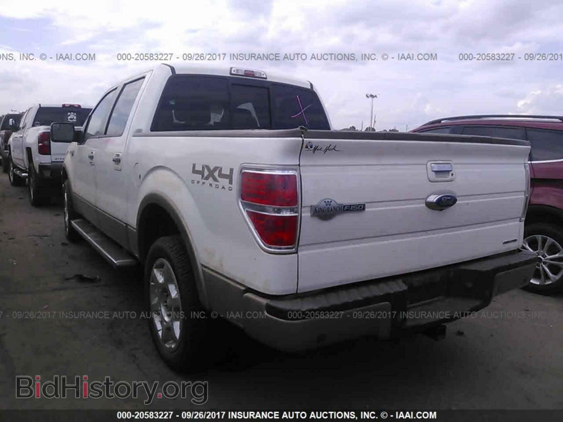 2013 Ford F150 - VIN: 1FTFW1EF0DKF41345 - Фото 3