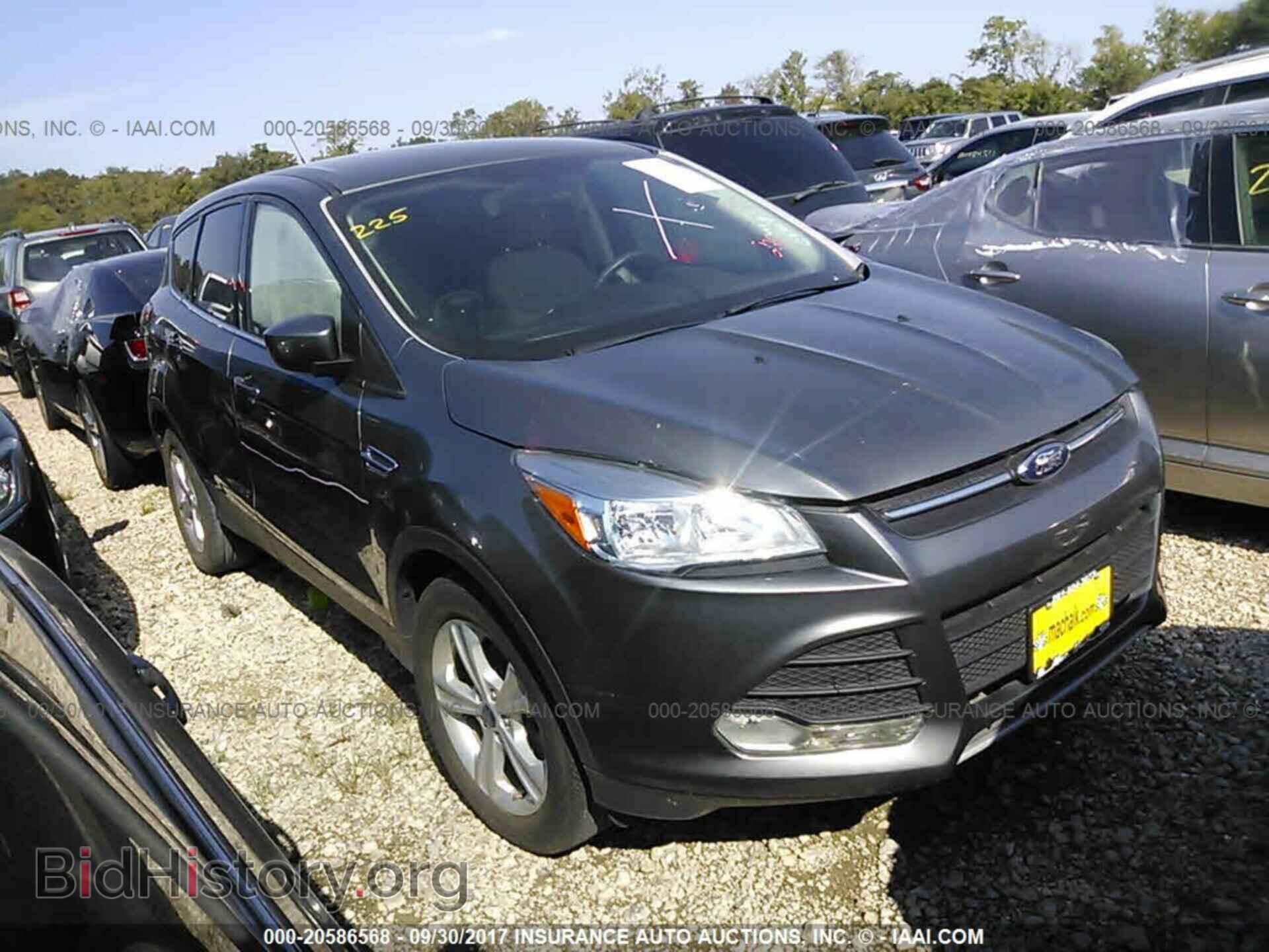 Photo 1FMCU0GX4EUD79679 - Ford Escape 2014