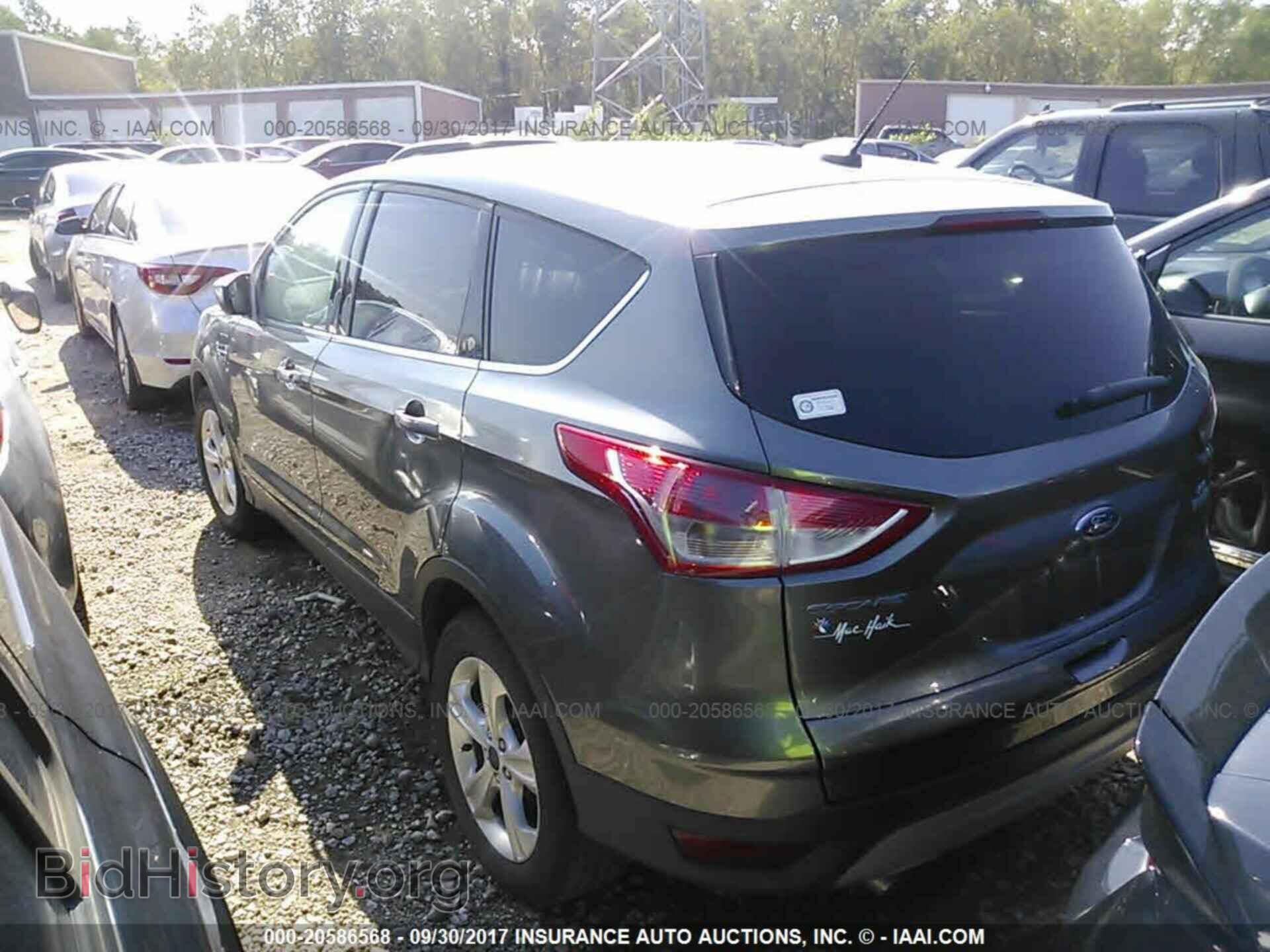 2014 Ford Escape - VIN: 1FMCU0GX4EUD79679 - Photo 3