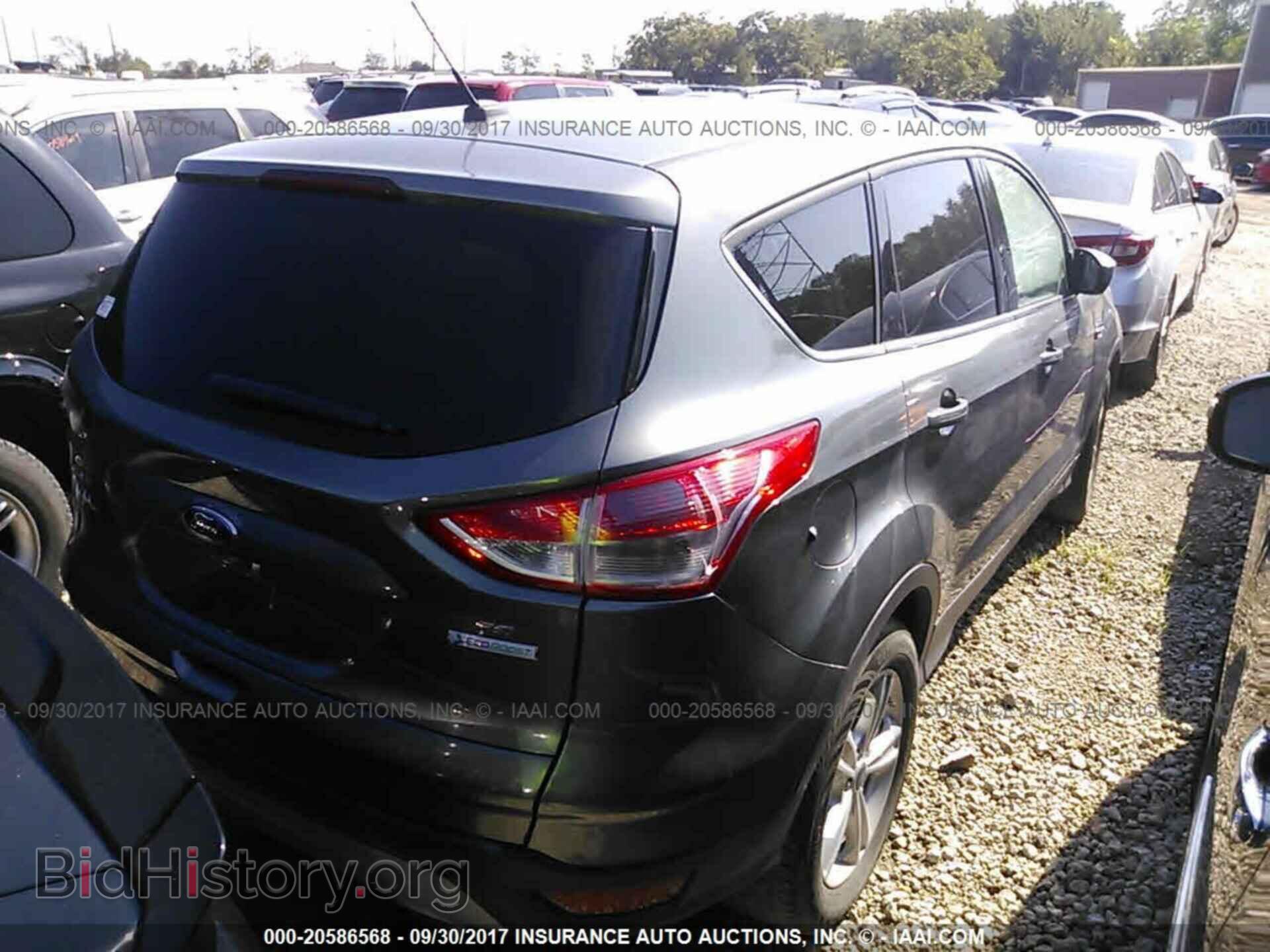 2014 Ford Escape - VIN: 1FMCU0GX4EUD79679 - Photo 4