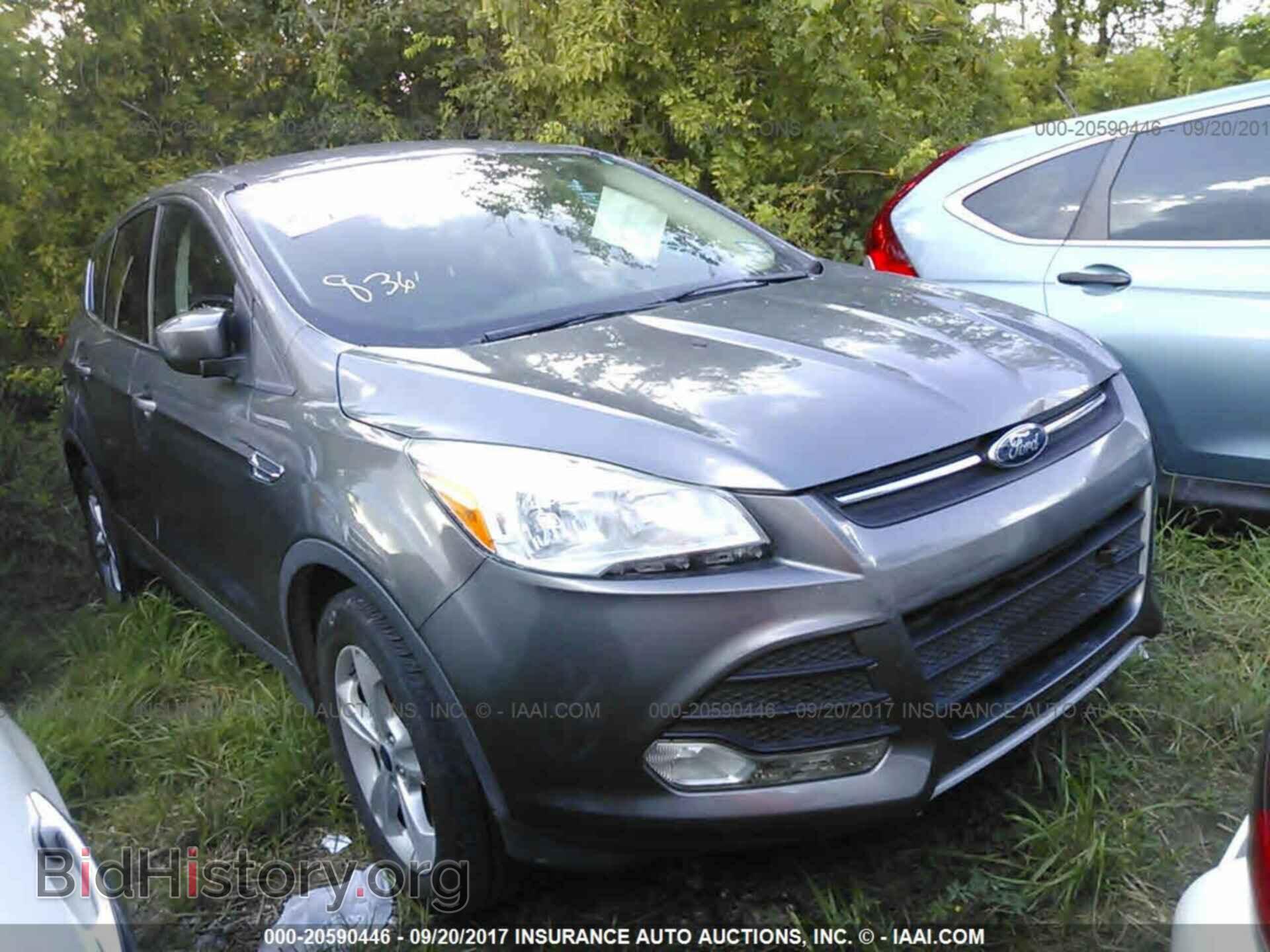 Photo 1FMCU0GX3DUC54249 - Ford Escape 2013
