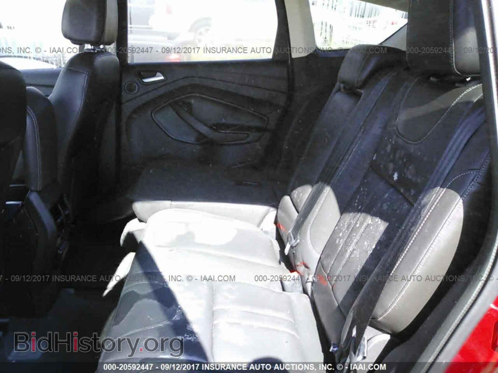 2013 Ford Escape - VIN: 1FMCU0J91DUC13452 - Фото 8