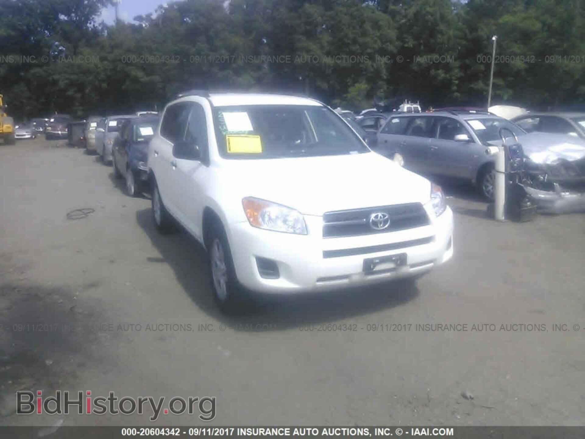 Фотография 2T3BF4DVXCW221321 - Toyota Rav4 2012