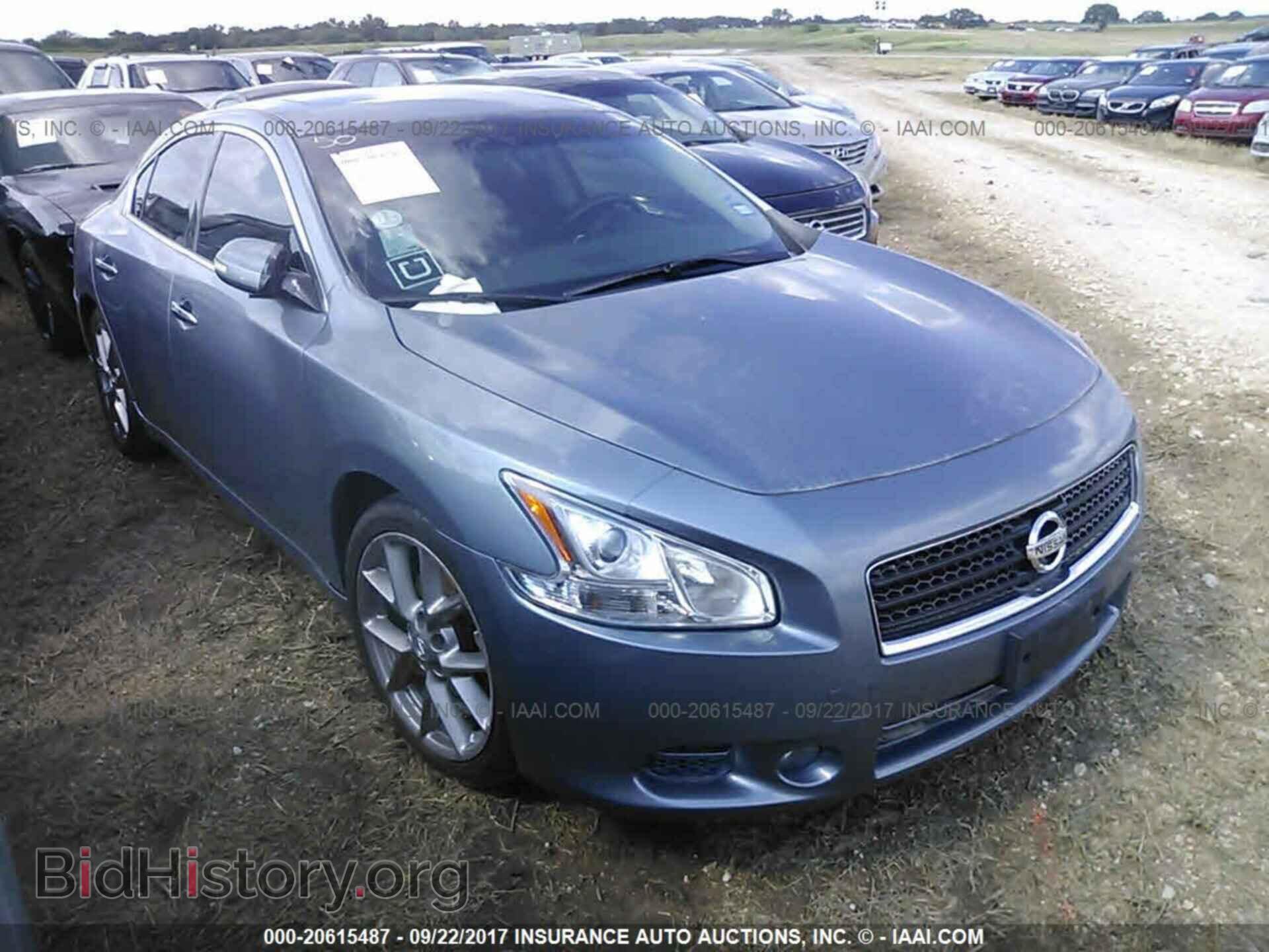 Фотография 1N4AA5AP7BC867476 - Nissan Maxima 2011